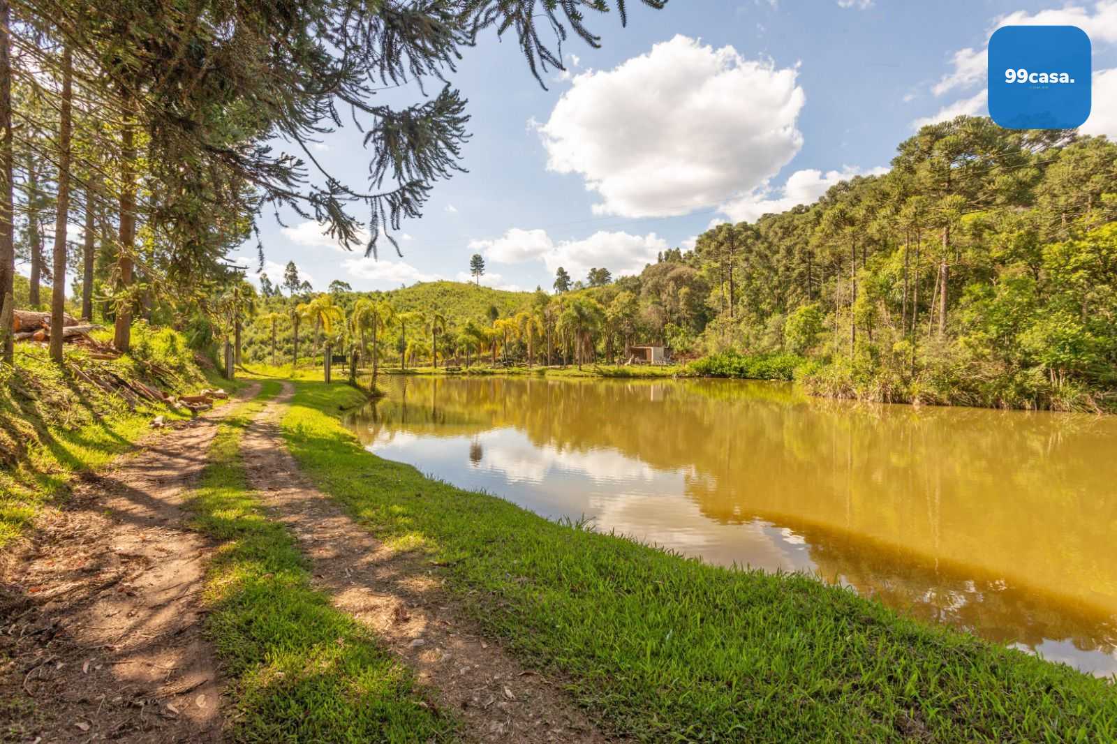 Chácara à venda, 110456 m² por R$ 730.000,00 - Campo Magro - C...