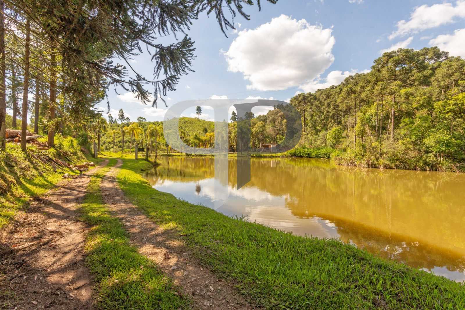 Chácara à venda, 110456 m² por R$ 730.000,00 - Campo Magro - C...