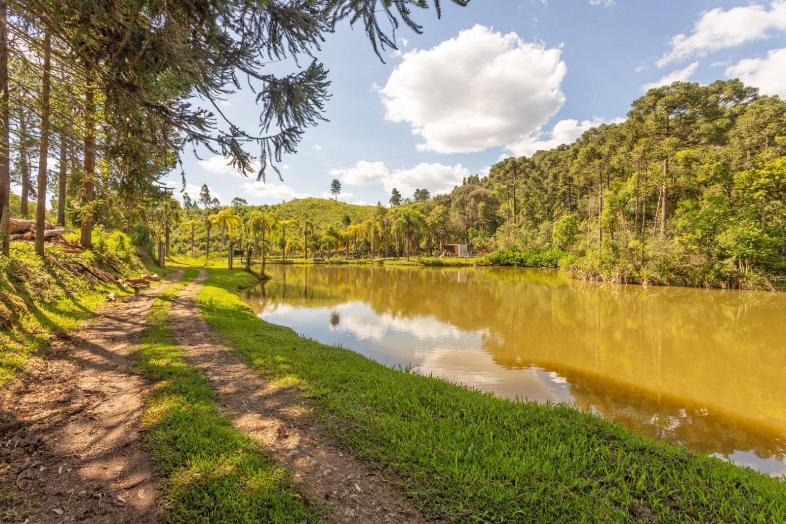 Chácara à venda, 110456 m² por R$ 730.000,00 - Campo Magro - C...