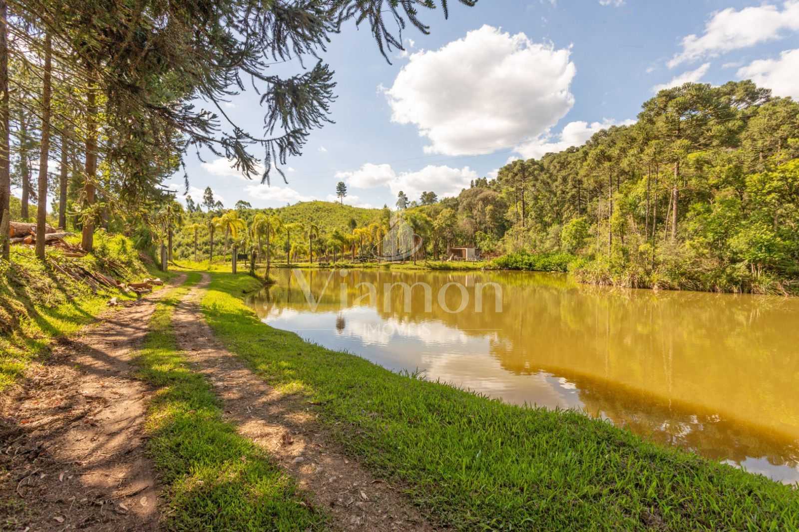 Chácara à venda, 110456 m² por R$ 730.000,00 - Campo Magro - C...