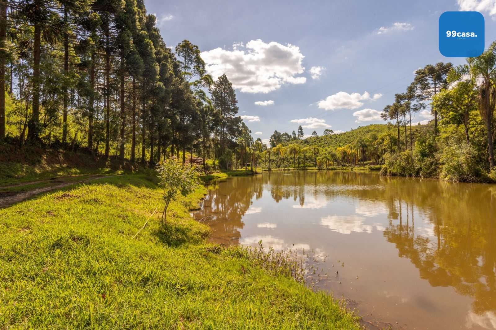 Chácara à venda, 110456 m² por R$ 730.000,00 - Campo Magro - C...