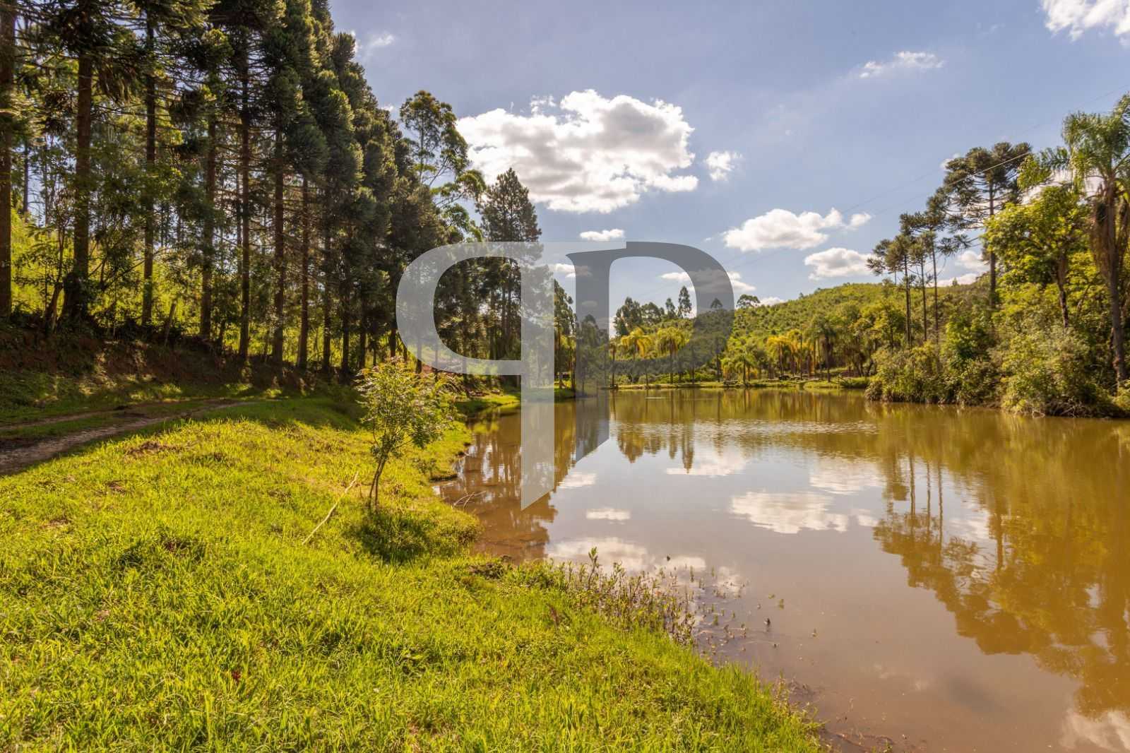 Chácara à venda, 110456 m² por R$ 730.000,00 - Campo Magro - C...