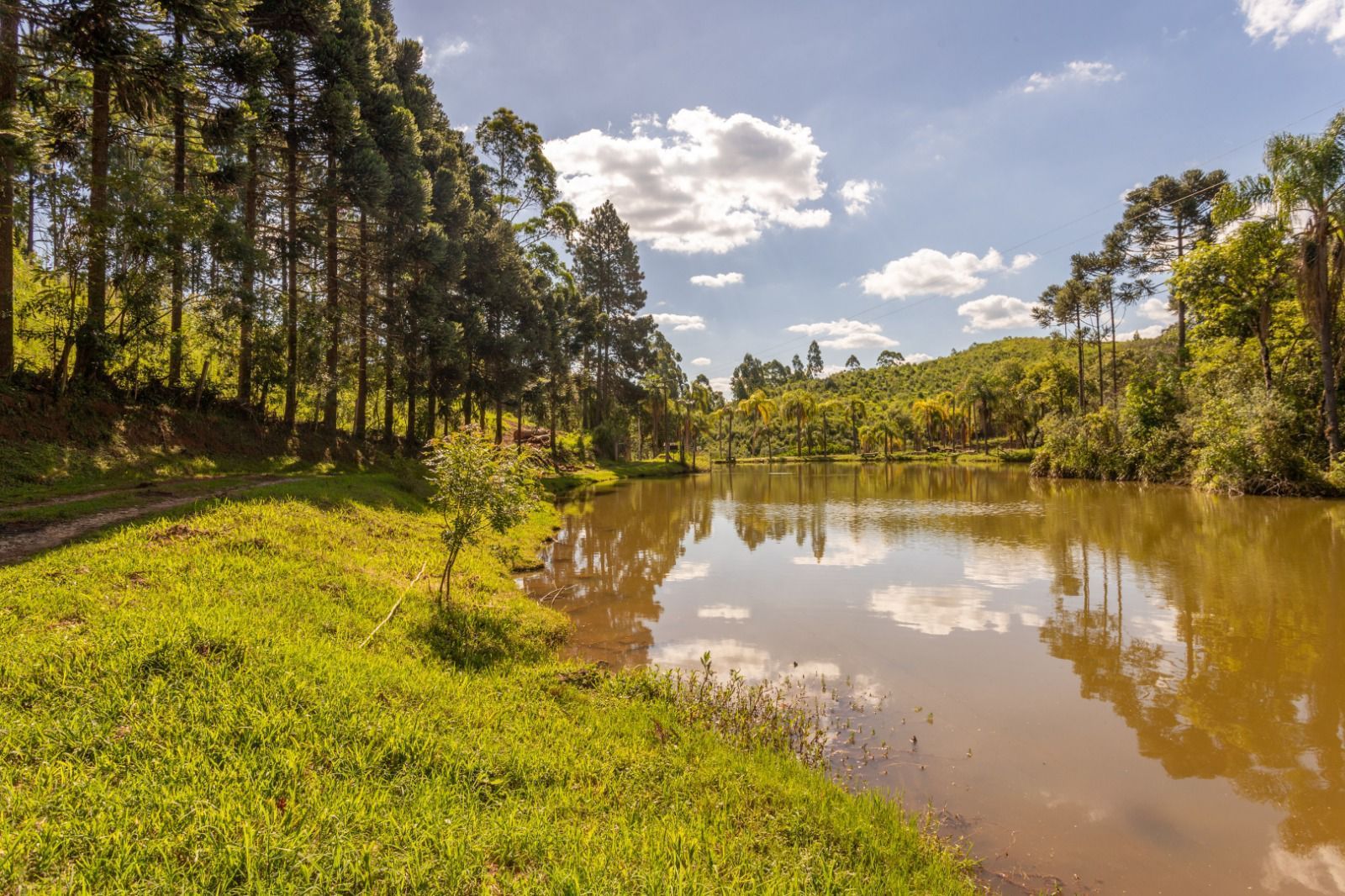 Chácara à venda, 110456 m² por R$ 730.000,00 - Campo Magro - C...