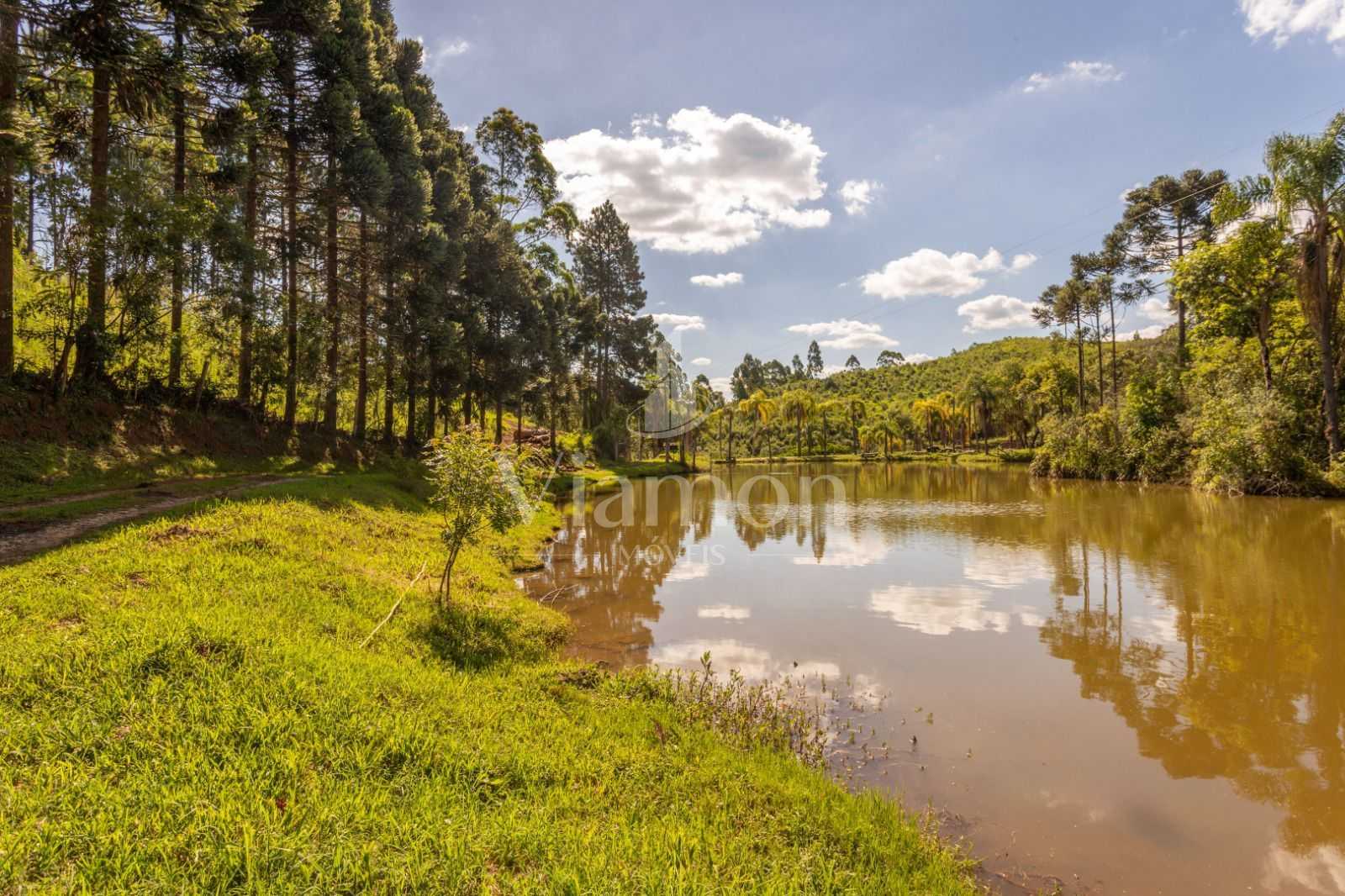 Chácara à venda, 110456 m² por R$ 730.000,00 - Campo Magro - C...