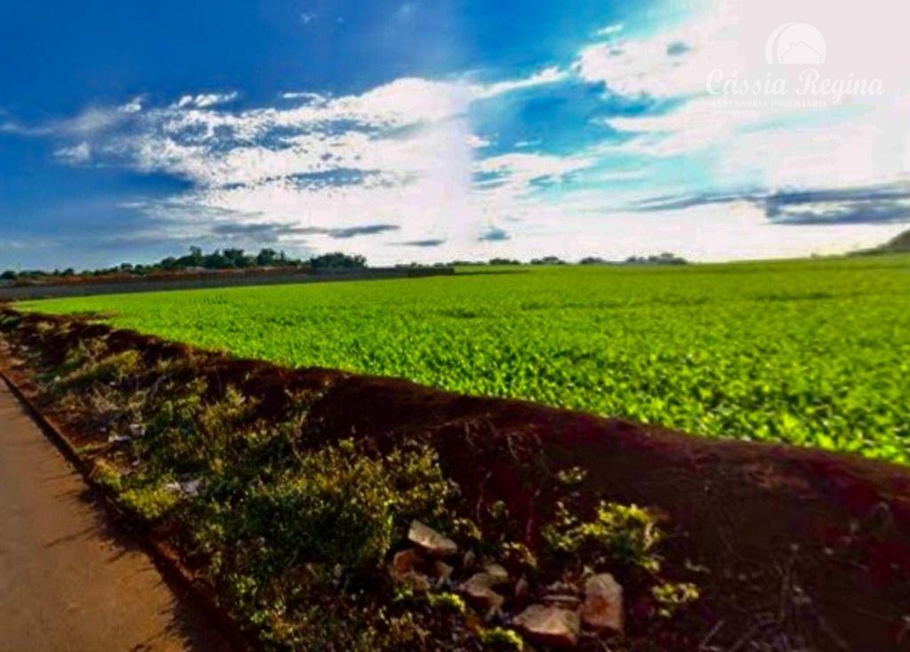 Área com 27.629,63m2 à venda na Avenida Írio Manganelli, Parque Pilar Campestre,