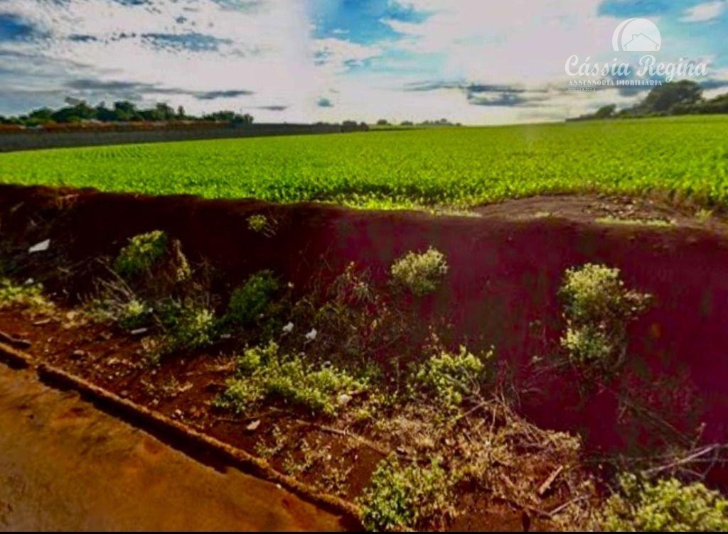 Área com 27.629,63m2 à venda na Avenida Írio Manganelli, Parque Pilar Campestre,