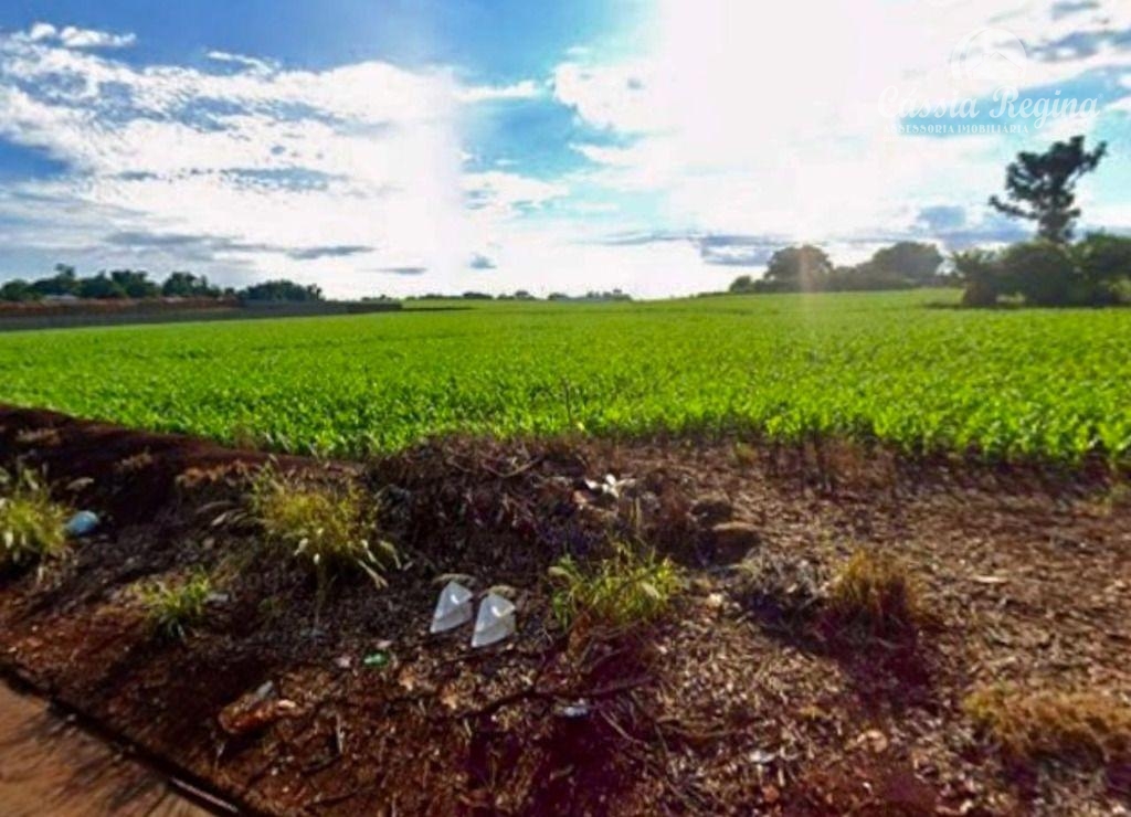 Área com 27.629,63m2 à venda na Avenida Írio Manganelli, Parque Pilar Campestre,