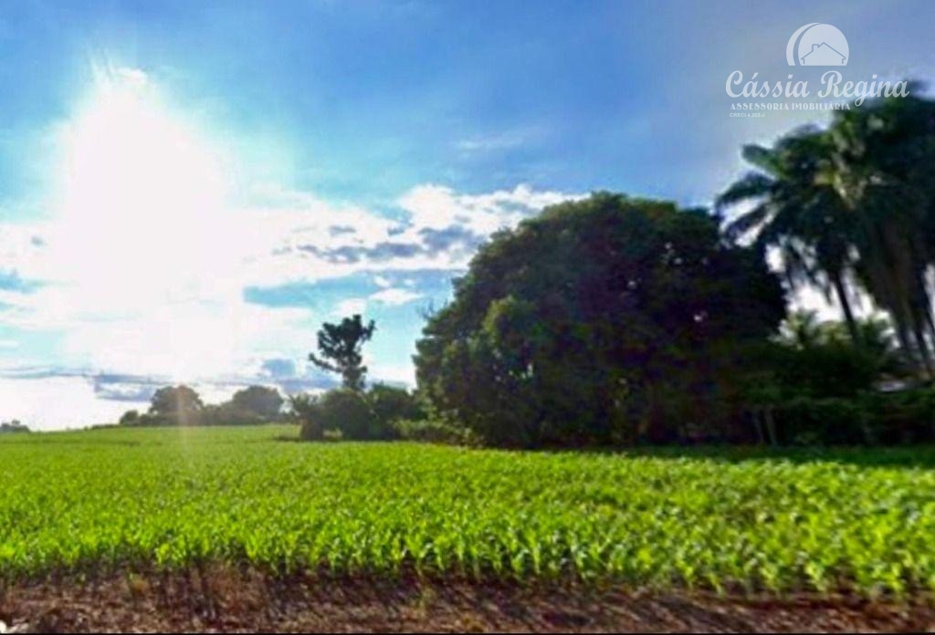 Área com 27.629,63m2 à venda na Avenida Írio Manganelli, Parque Pilar Campestre,