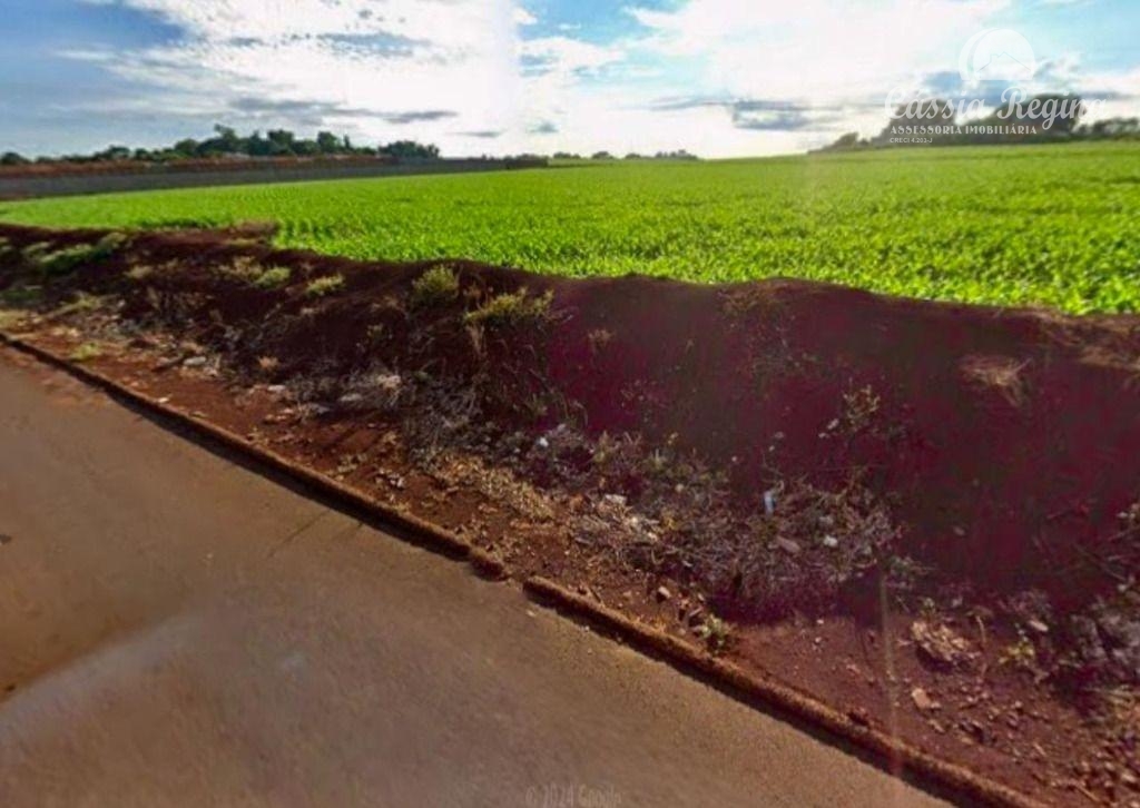 Área com 27.629,63m2 à venda na Avenida Írio Manganelli, Parque Pilar Campestre,