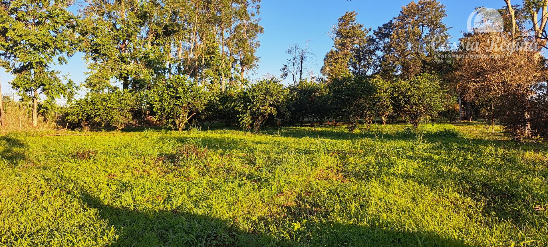 Chácara à venda, Porto Belo, FOZ DO IGUACU - PR