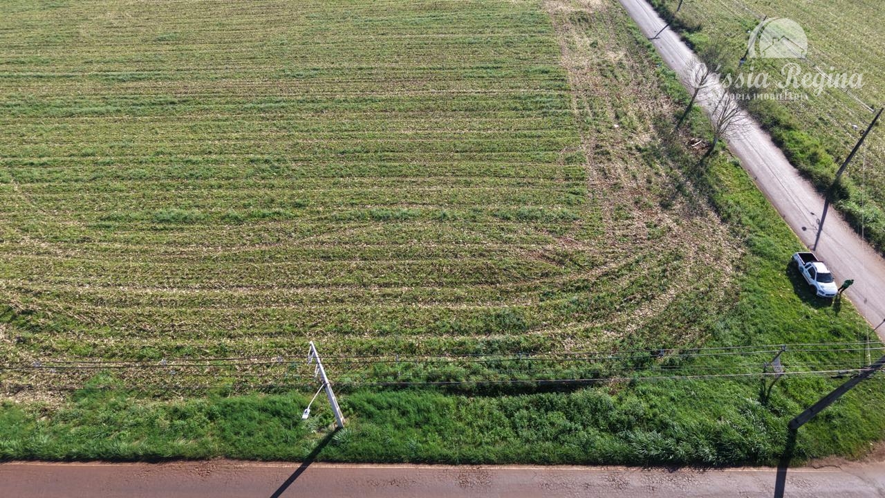 Terreno à venda, com 39.901,39m² - Cognópolis, FOZ DO IGUACU - PR