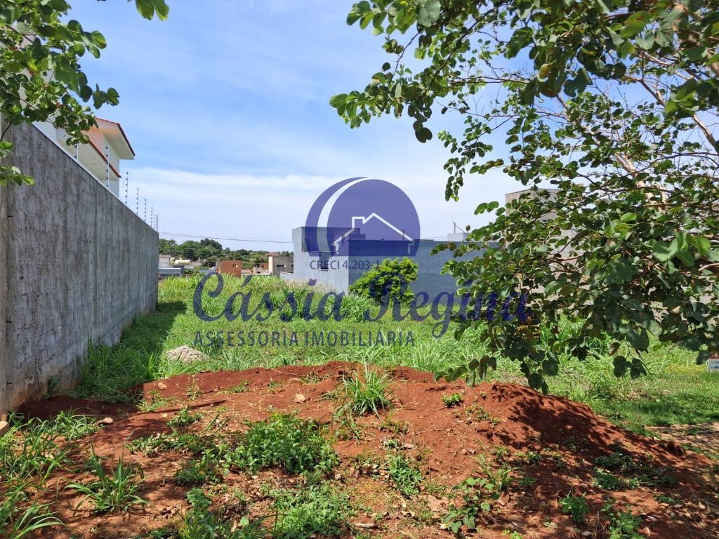 Oportunidade! Terreno com área de 250m² - Vila Maria