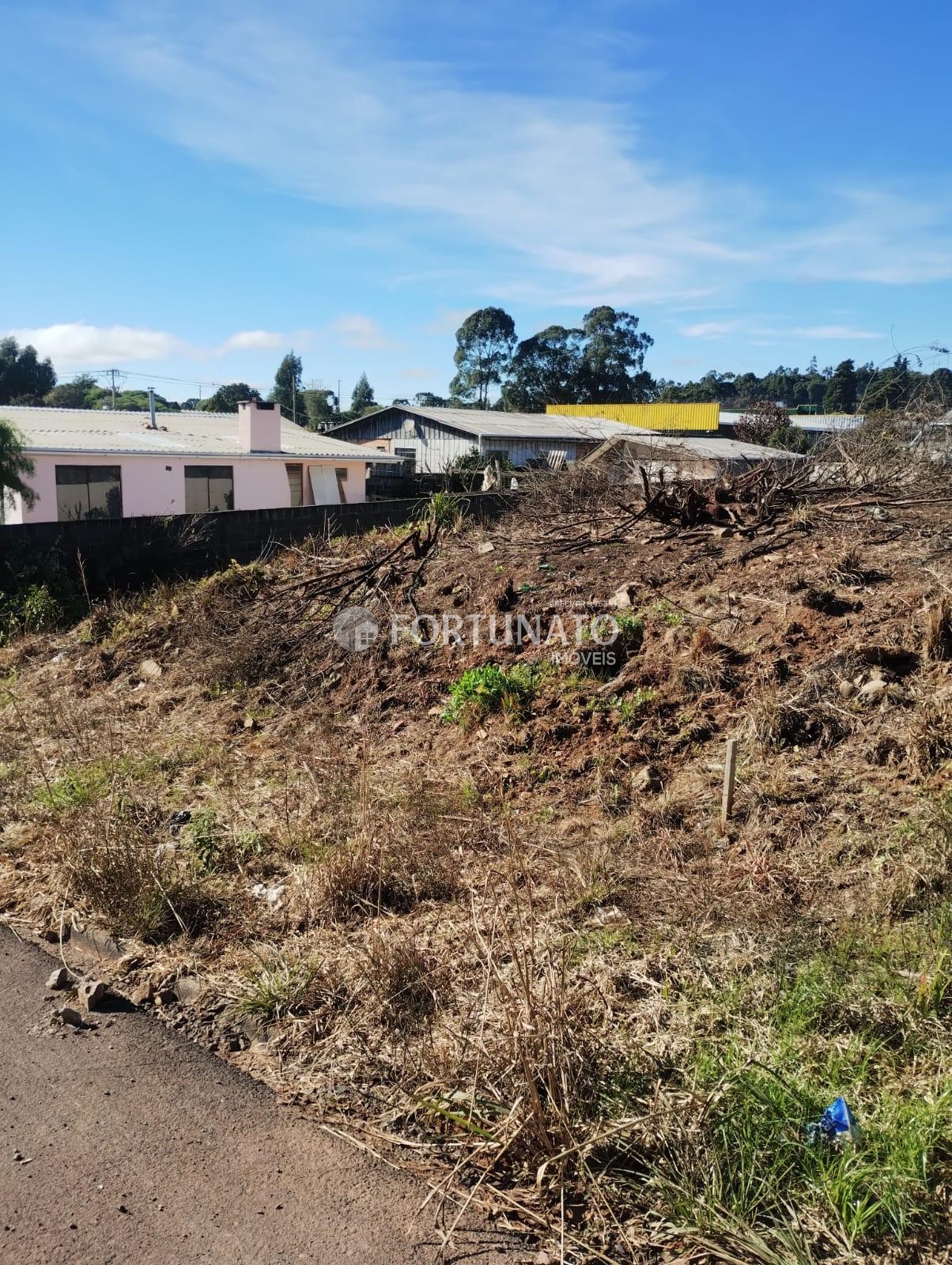 VENDE-SE TERRENO EM CORONEL DOMINGOS SOARES/PR