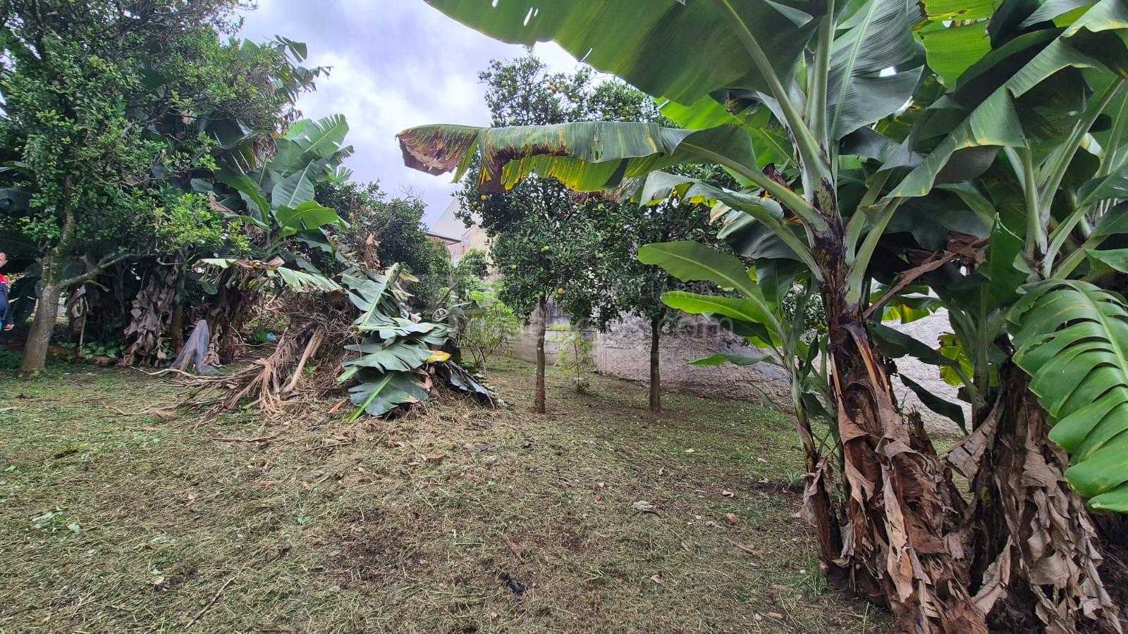 Ótimo terreno no Bairro Alto, situado na Rua Rio Tietê, 674 - ...