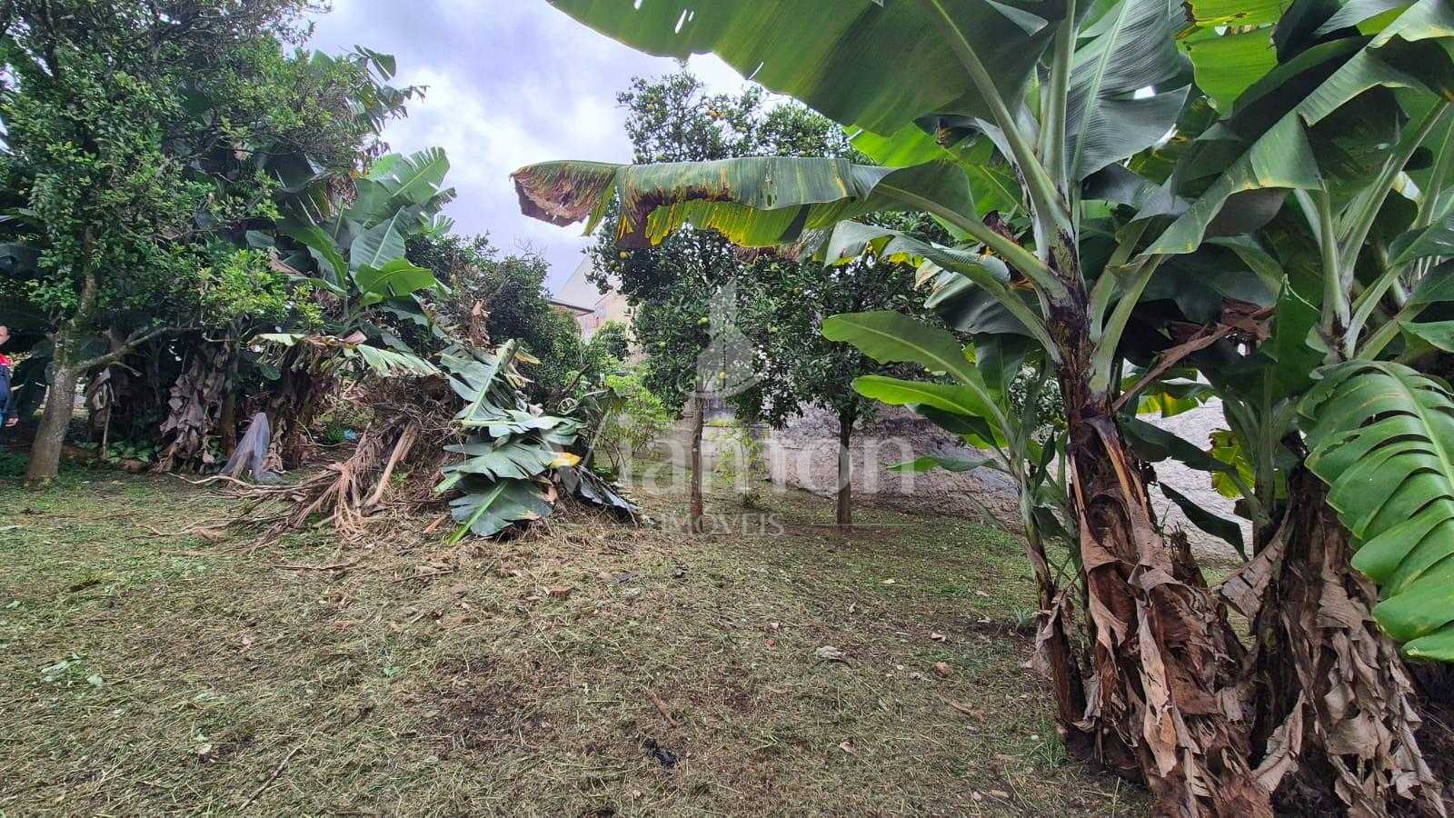 Ótimo terreno no Bairro Alto, situado na Rua Rio Tietê, 674 - ...