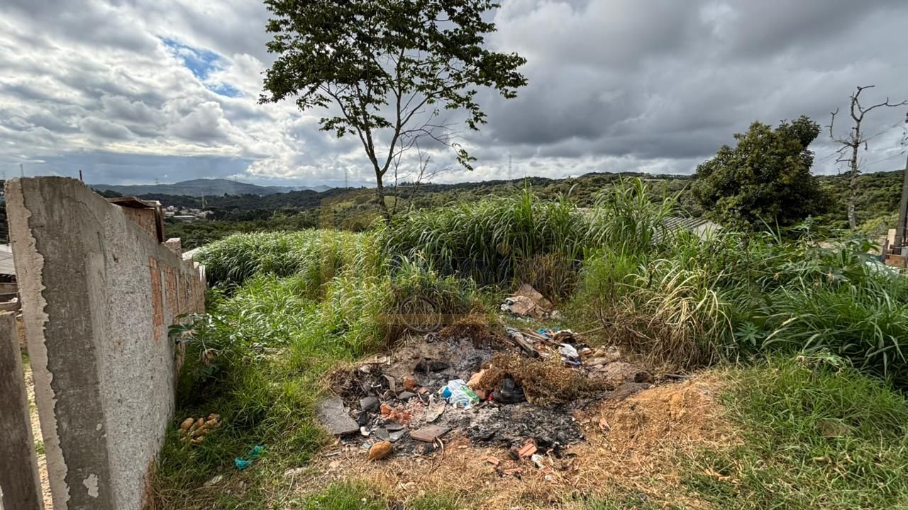 Terreno à venda, Vila Grecia, ALMIRANTE TAMANDARE - PR