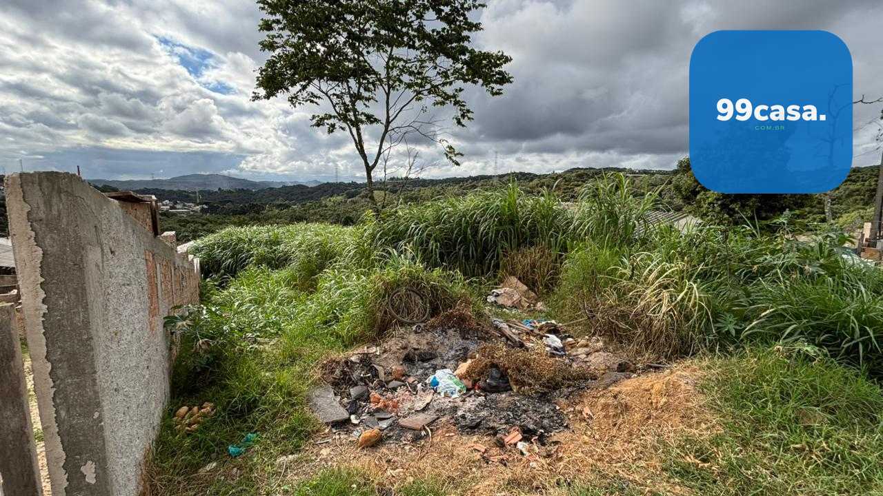 Terreno à venda, Vila Grecia, ALMIRANTE TAMANDARE - PR