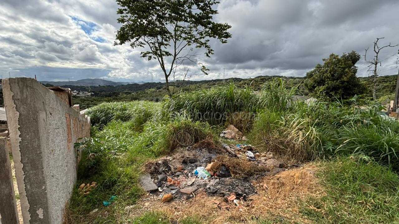 Terreno à venda, Vila Grecia, ALMIRANTE TAMANDARE - PR
