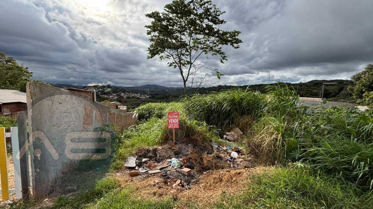 Terreno ? venda, Vila Grecia, ALMIRANTE TAMANDARE - PR