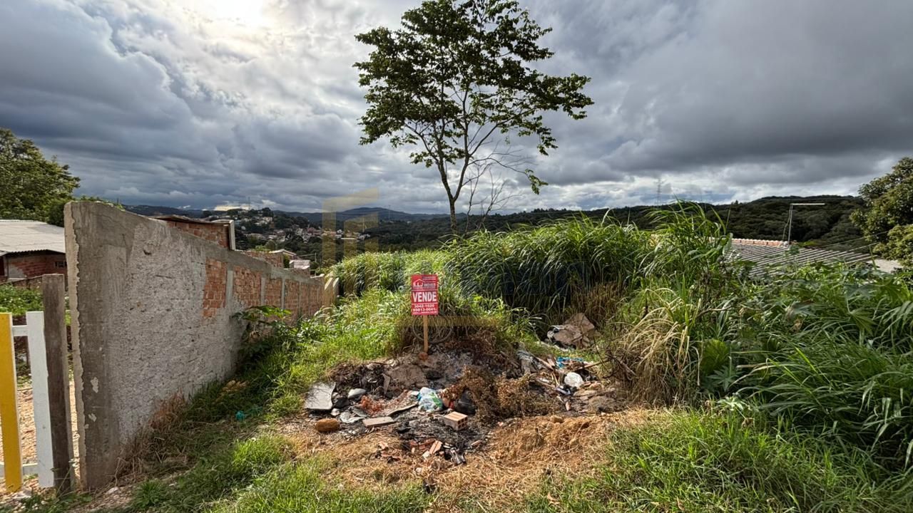 Terreno à venda, Vila Grecia, ALMIRANTE TAMANDARE - PR