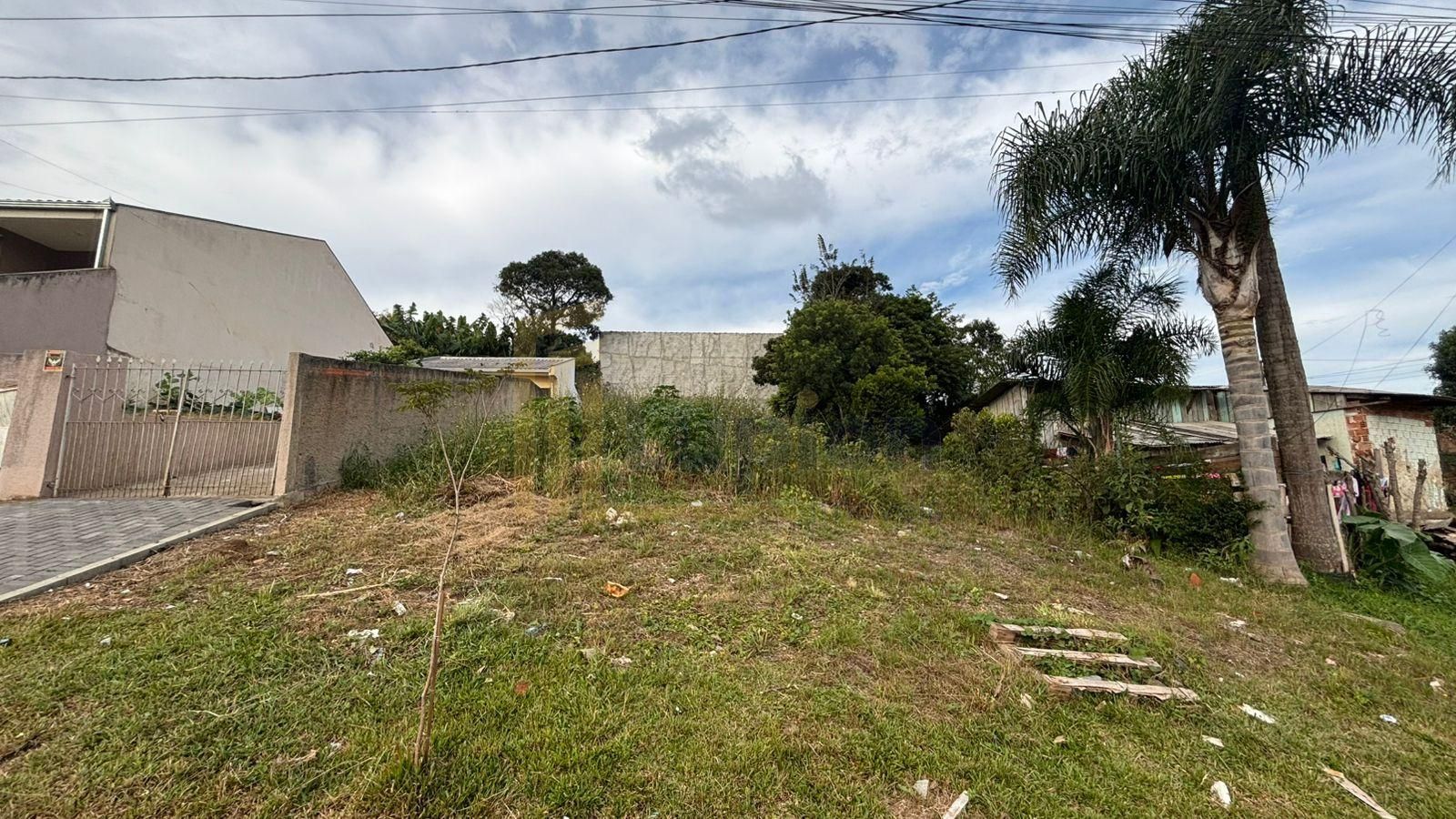 Terreno 360 m2- alto, rua asfaltada, próx.Hosp. Angelina Caron...