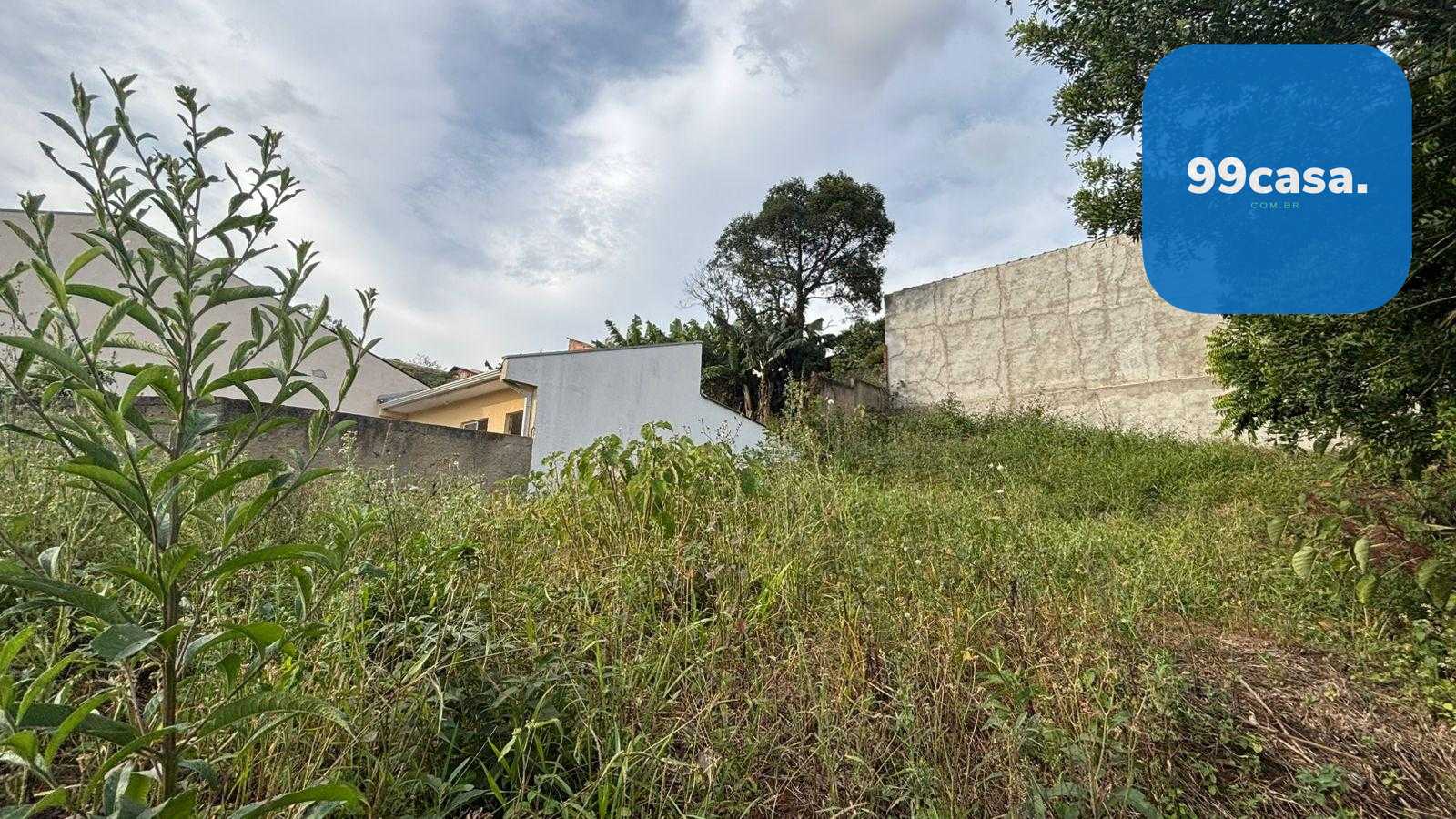 Terreno 360 m2- alto, rua asfaltada, próx.Hosp. Angelina Caron...