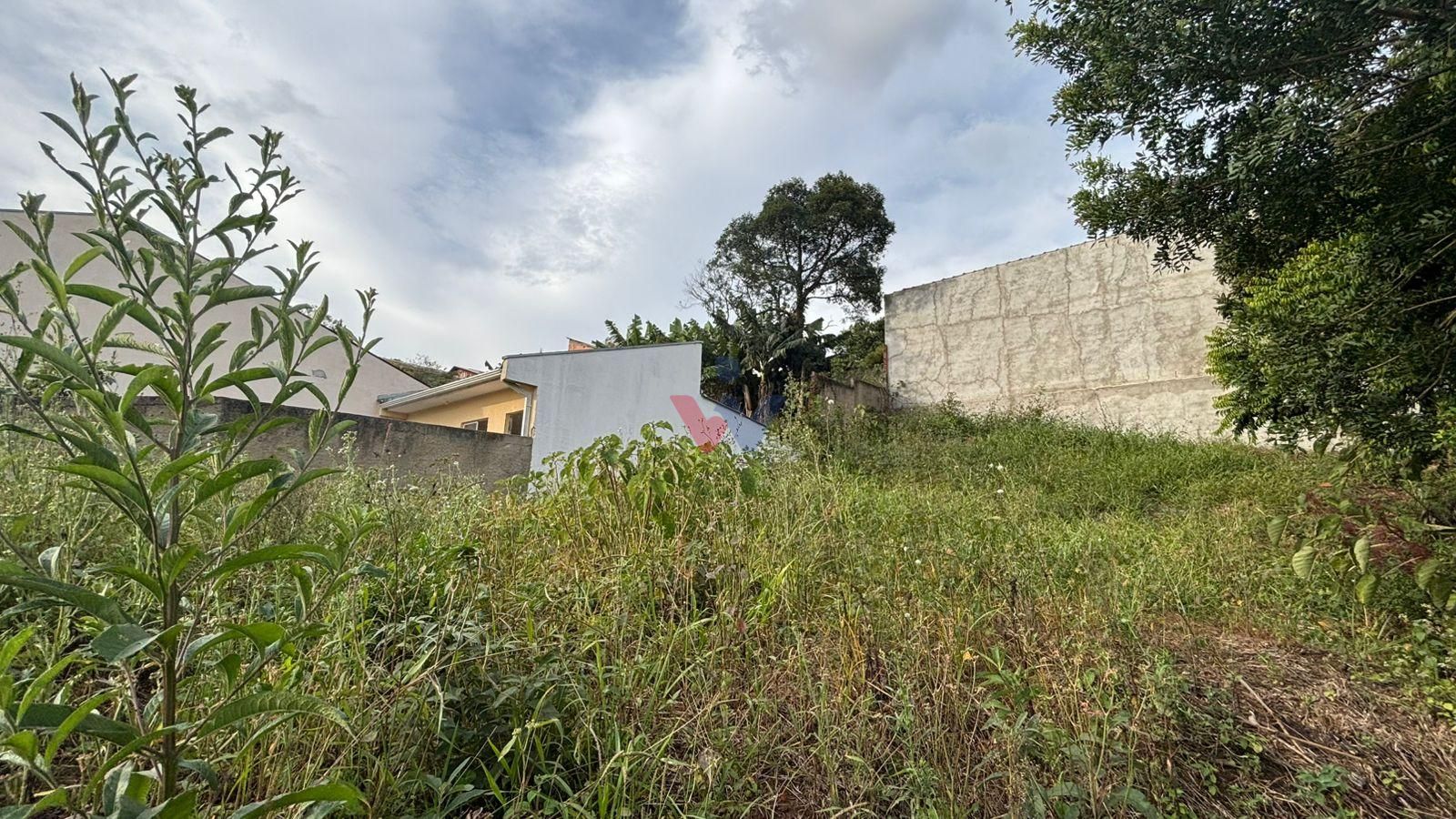 Terreno 360 m2- alto, rua asfaltada, próx.Hosp. Angelina Caron...