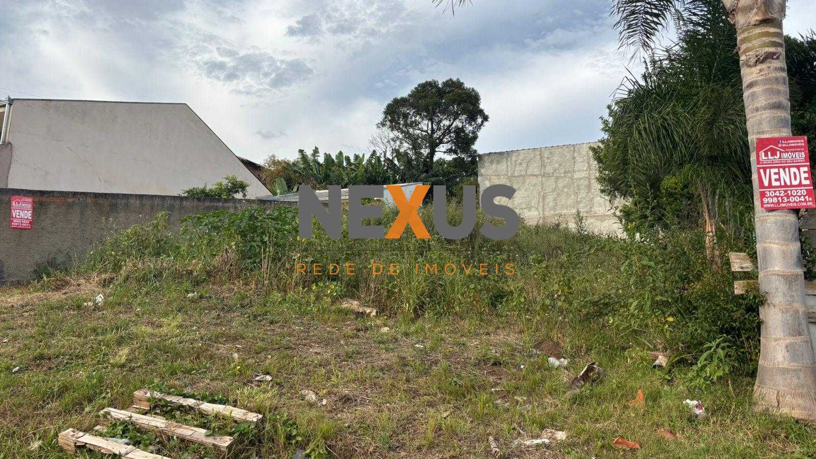 Terreno 360 m2- alto, rua asfaltada, próx.Hosp. Angelina Caron...
