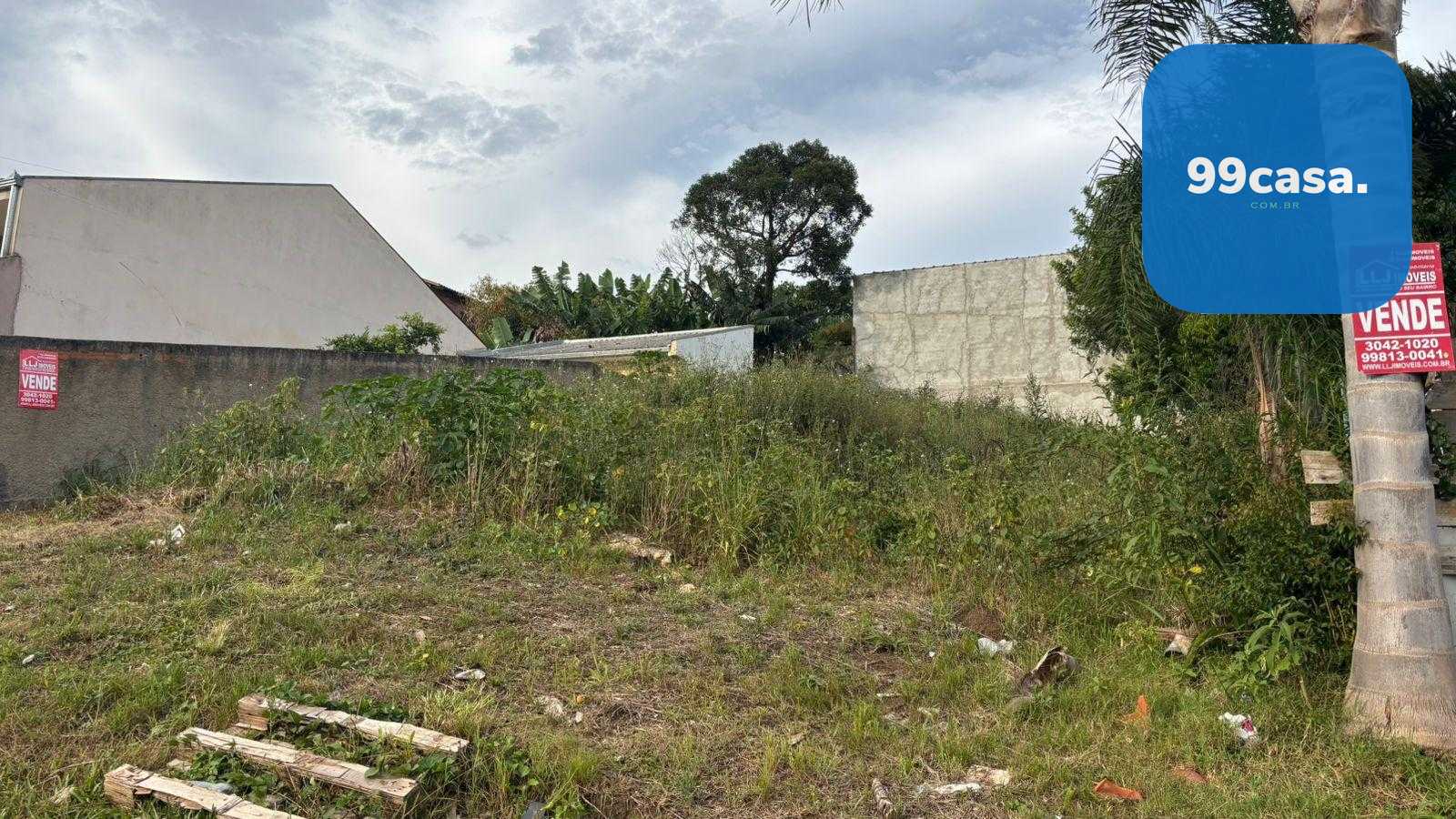 Terreno 360 m2- alto, rua asfaltada, próx.Hosp. Angelina Caron...