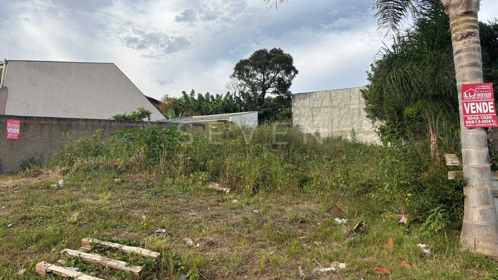 Terreno 360 m2- alto, rua asfaltada, próx.Hosp. Angelina Caron...