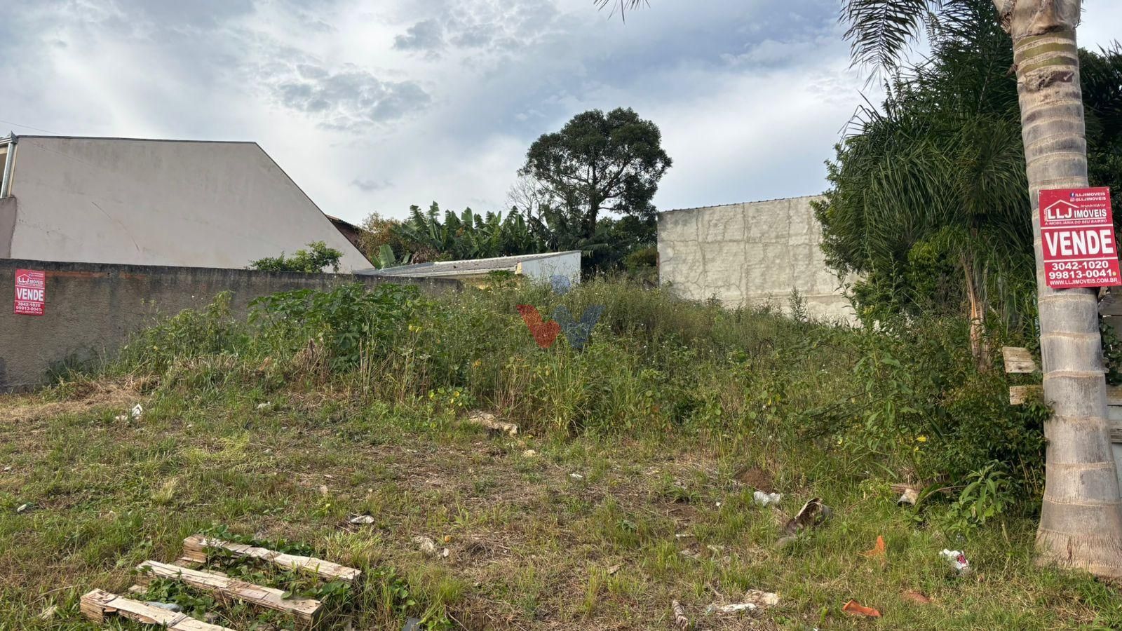 Terreno 360 m2- alto, rua asfaltada, próx.Hosp. Angelina Caron...
