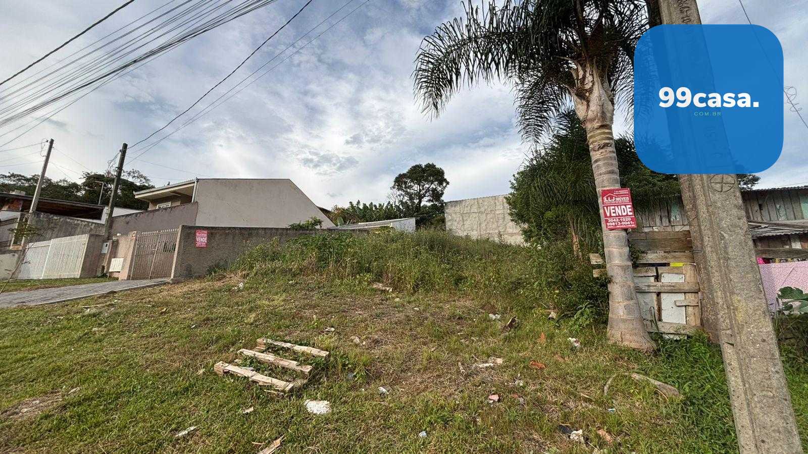 Terreno 360 m2- alto, rua asfaltada, próx.Hosp. Angelina Caron...