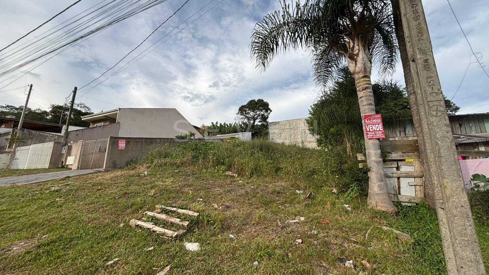 Terreno 360 m2- alto, rua asfaltada, próx.Hosp. Angelina Caron...