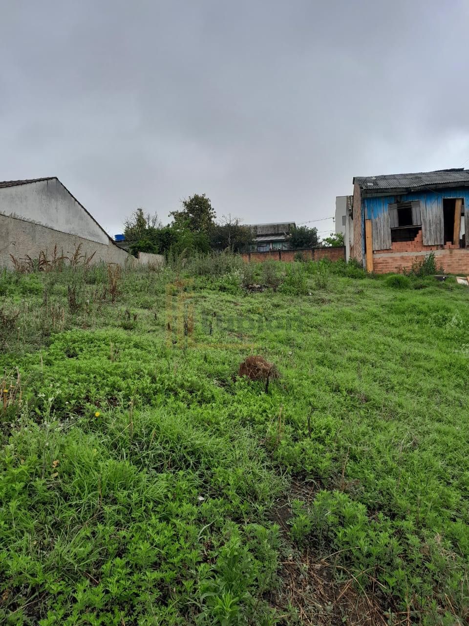 Terreno em Colombo com Excelente Potencial para Construtores e...