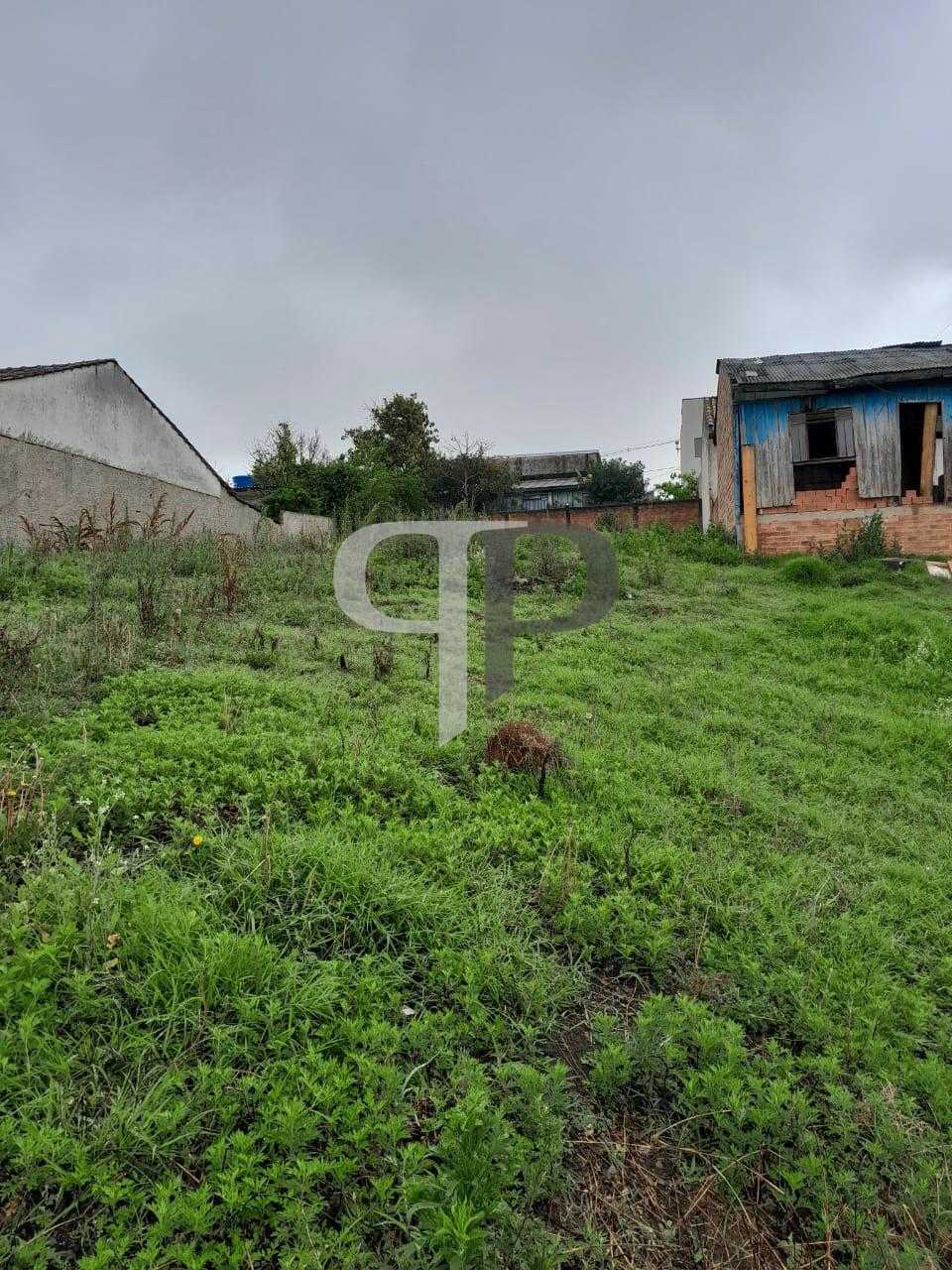 Terreno em Colombo com Excelente Potencial para Construtores e...