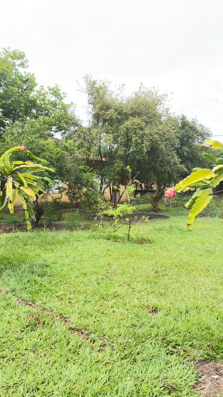 Rancho Exclusivo às Margens do Lago | 5.000m² no Costa Verde |...