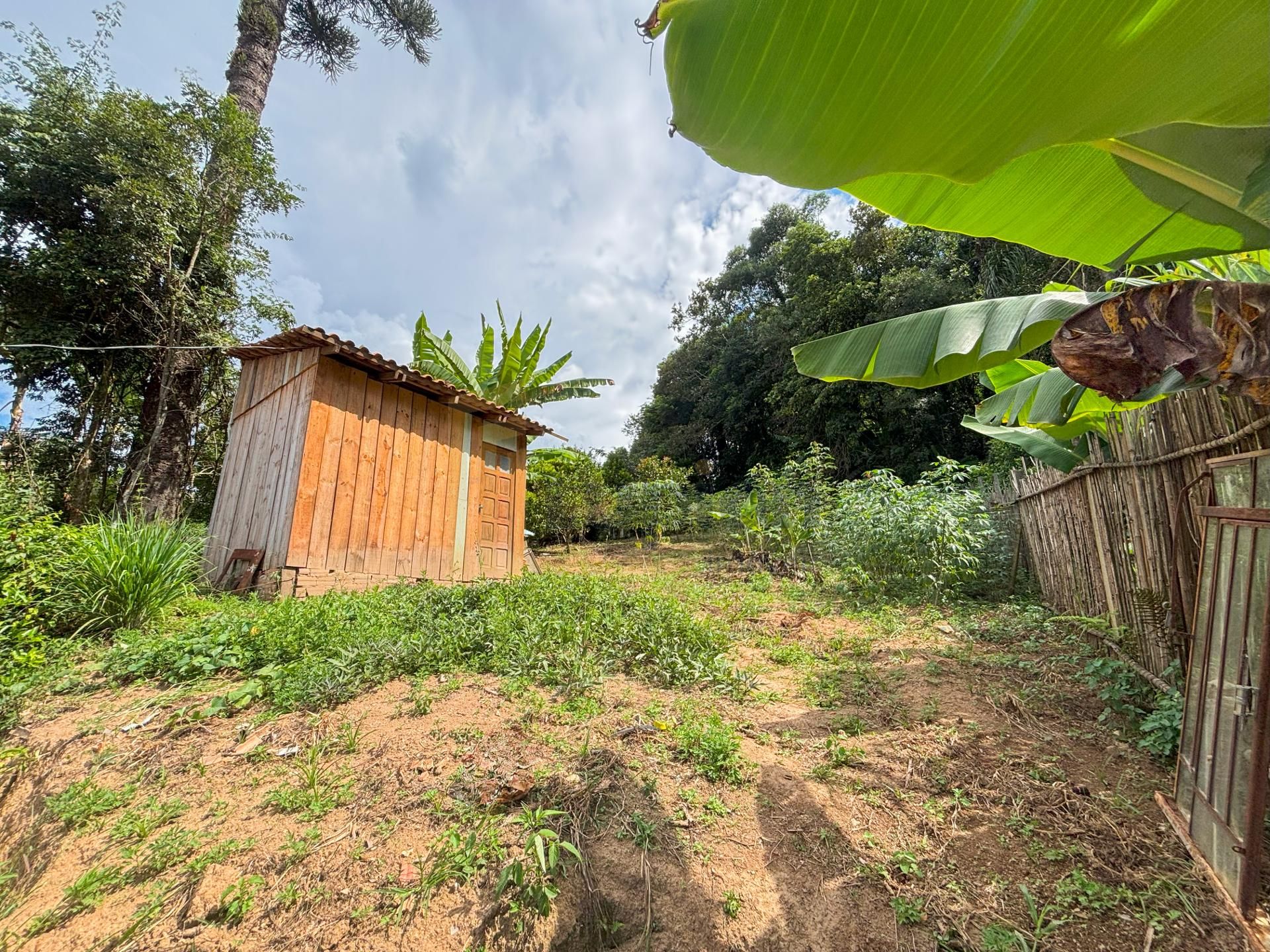 Chácara à venda, Vila Dom Pedro, CAMPO LARGO - PR