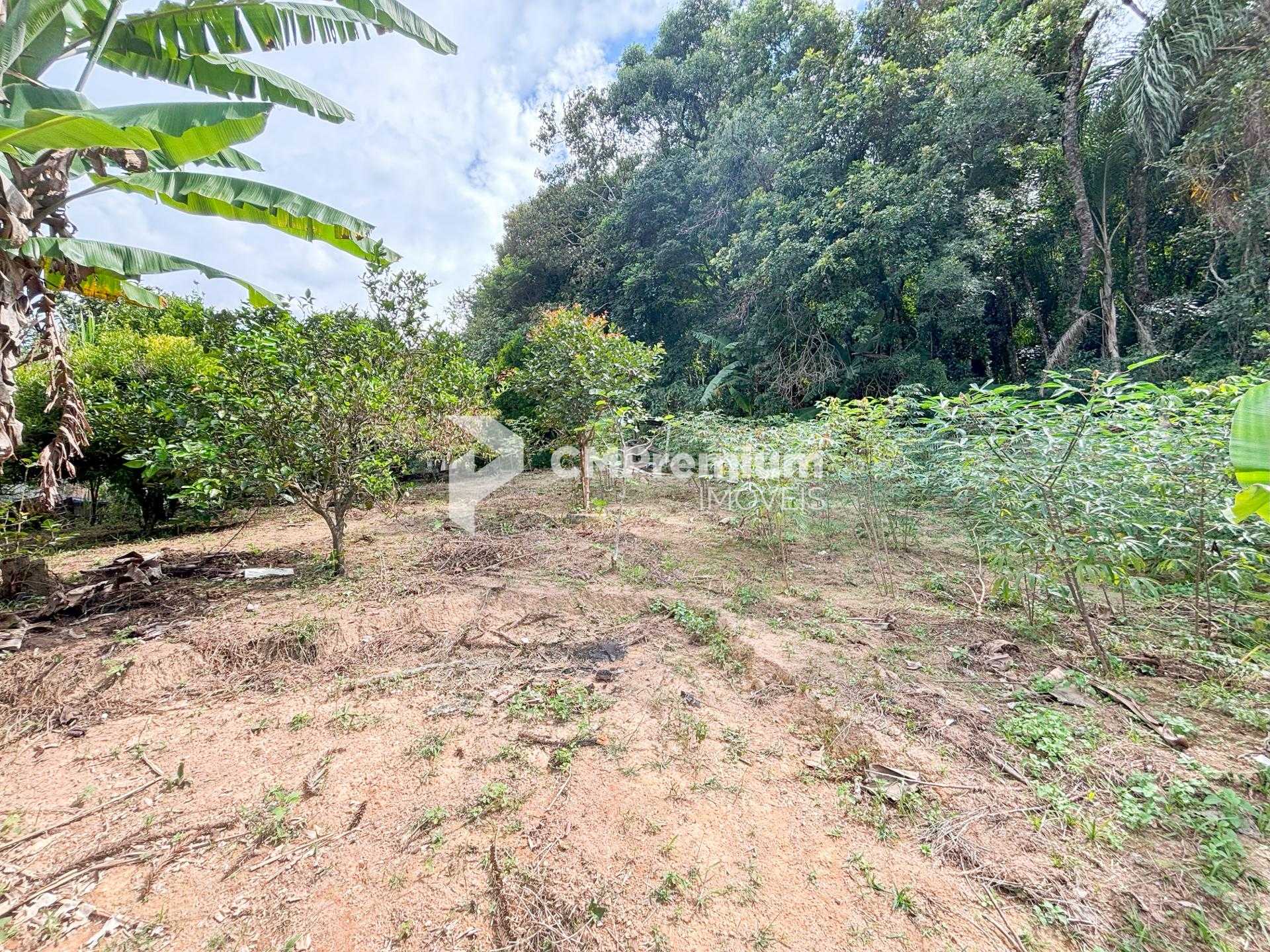 Chácara à venda, Vila Dom Pedro, CAMPO LARGO - PR