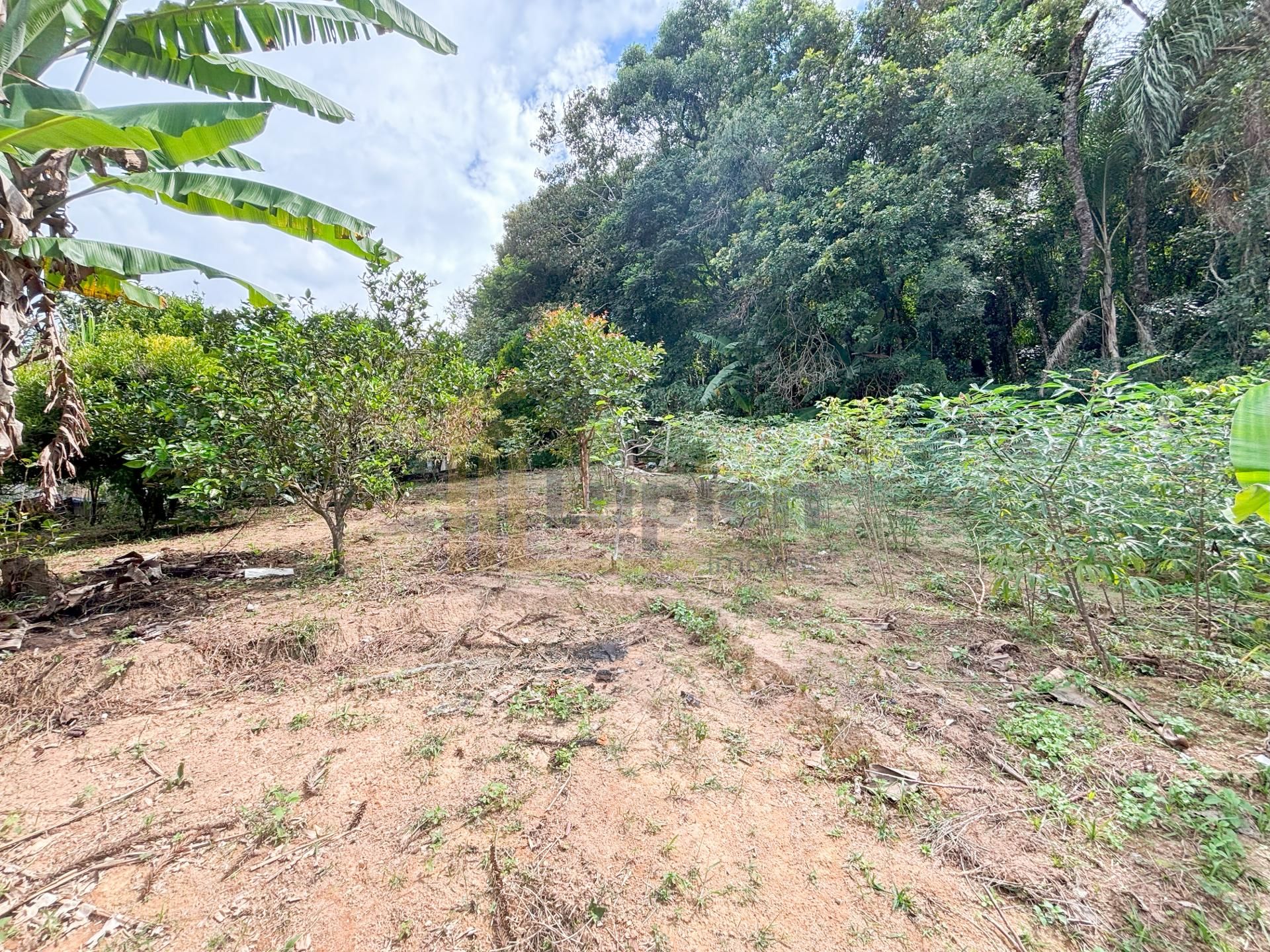 Chácara à venda, Vila Dom Pedro, CAMPO LARGO - PR