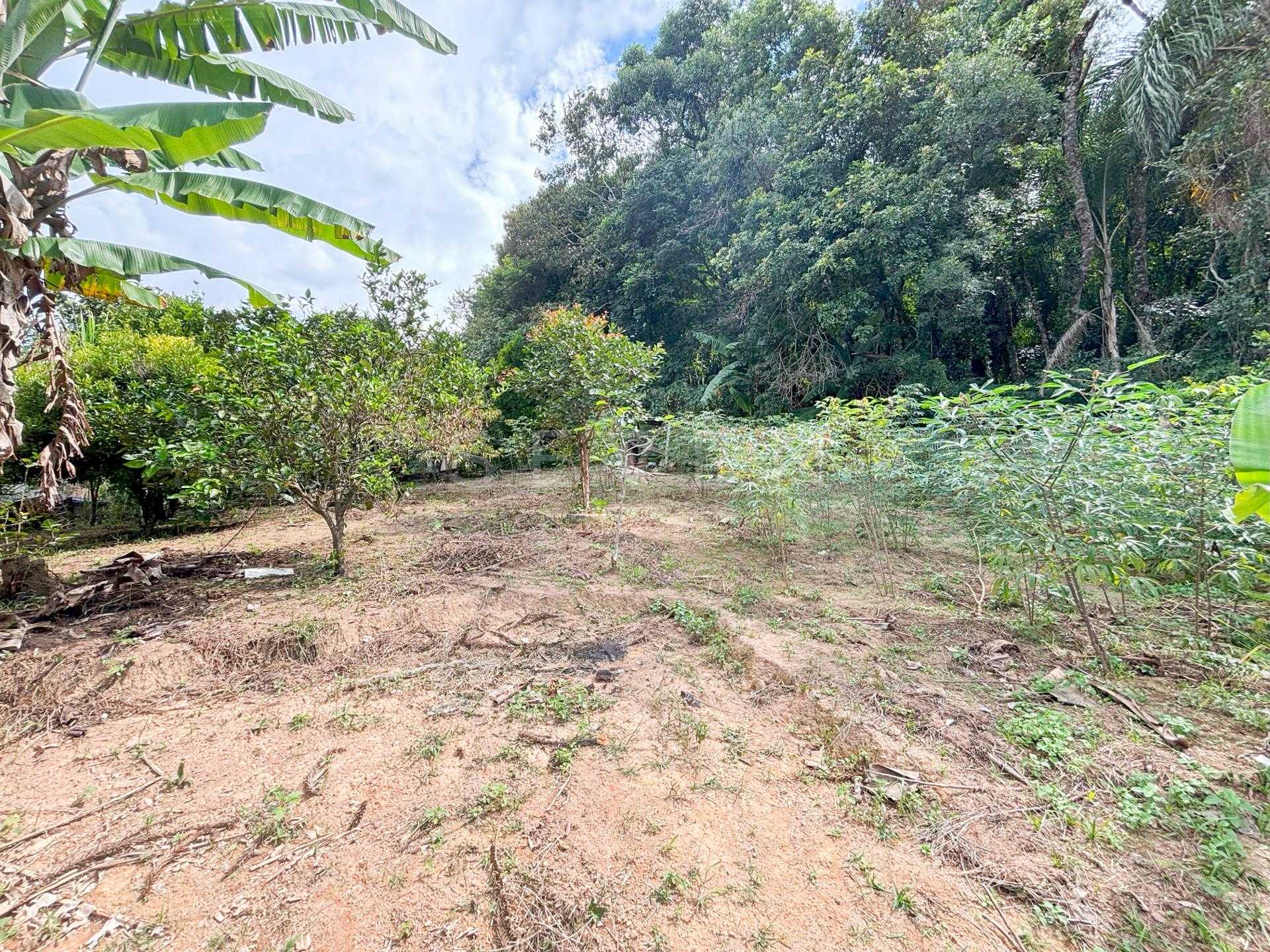 Chácara à venda, Vila Dom Pedro, CAMPO LARGO - PR