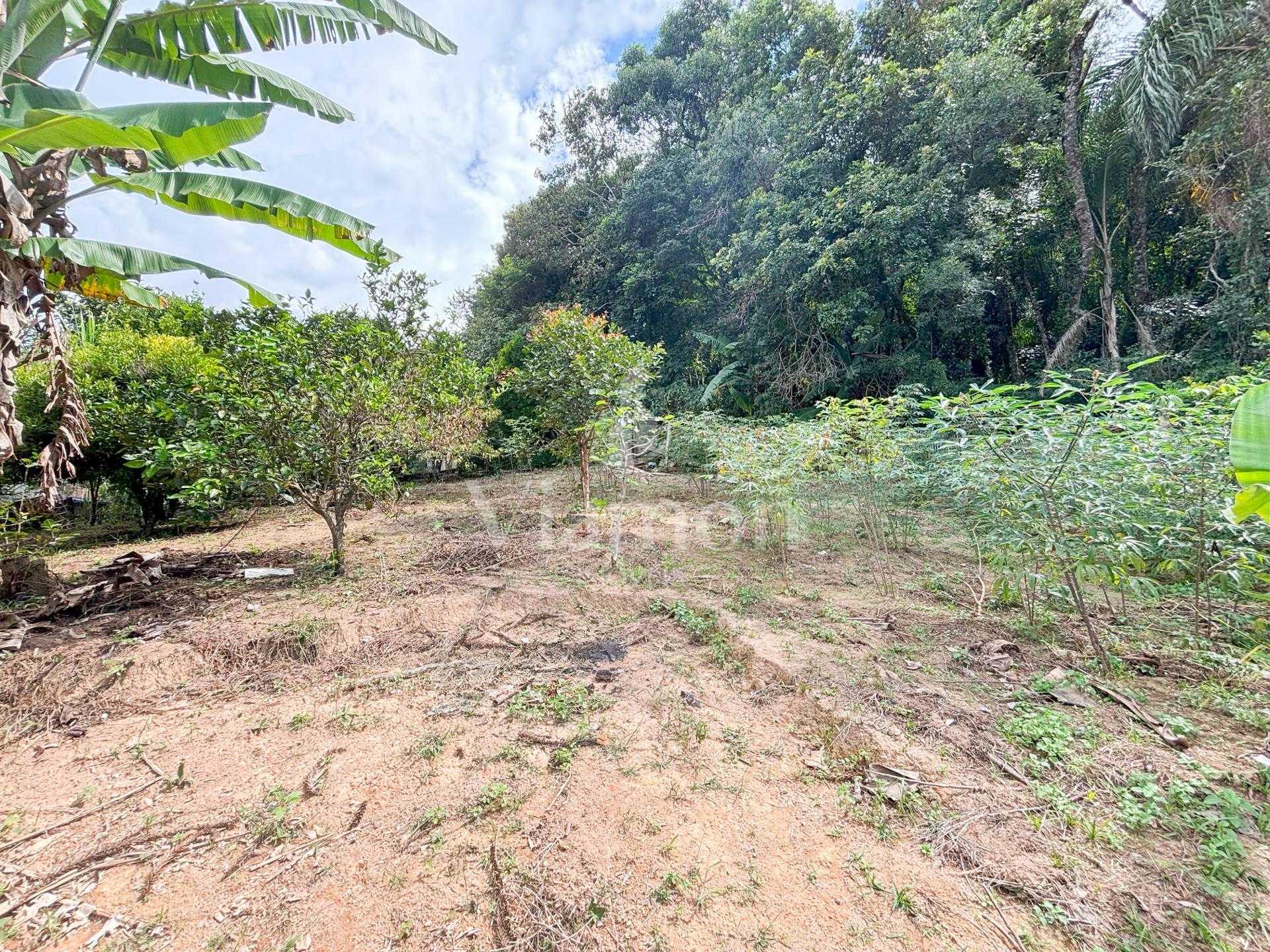 Chácara à venda, Vila Dom Pedro, CAMPO LARGO - PR