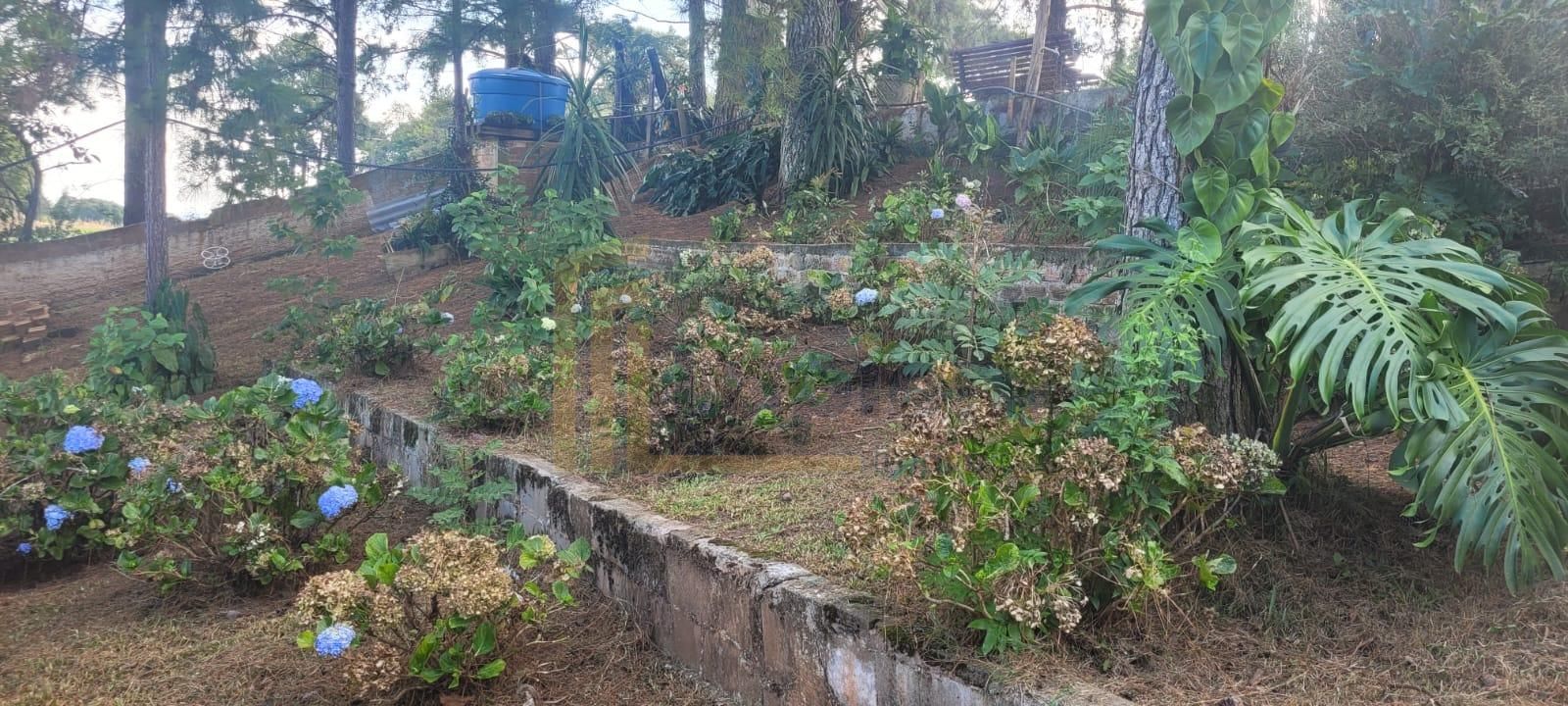 Chácara com 3 casas à venda em Contenda 9.000 m  com bosque e rio