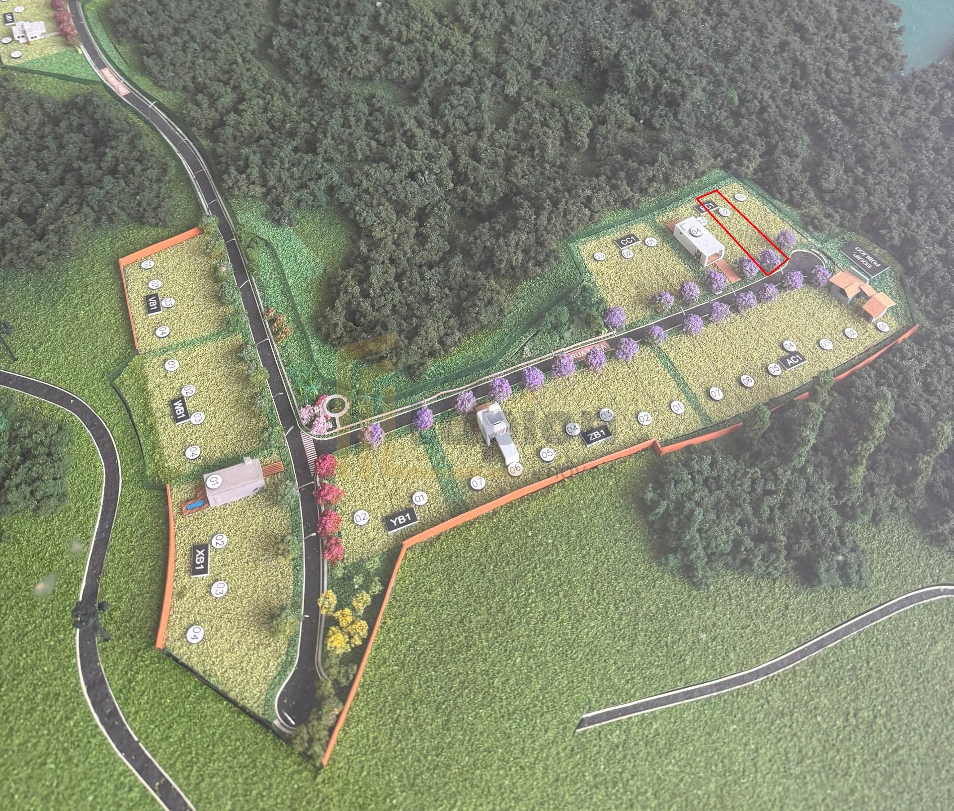 TERRENO com fundos para o Bosque no Alphaville Paraná  Campo ...