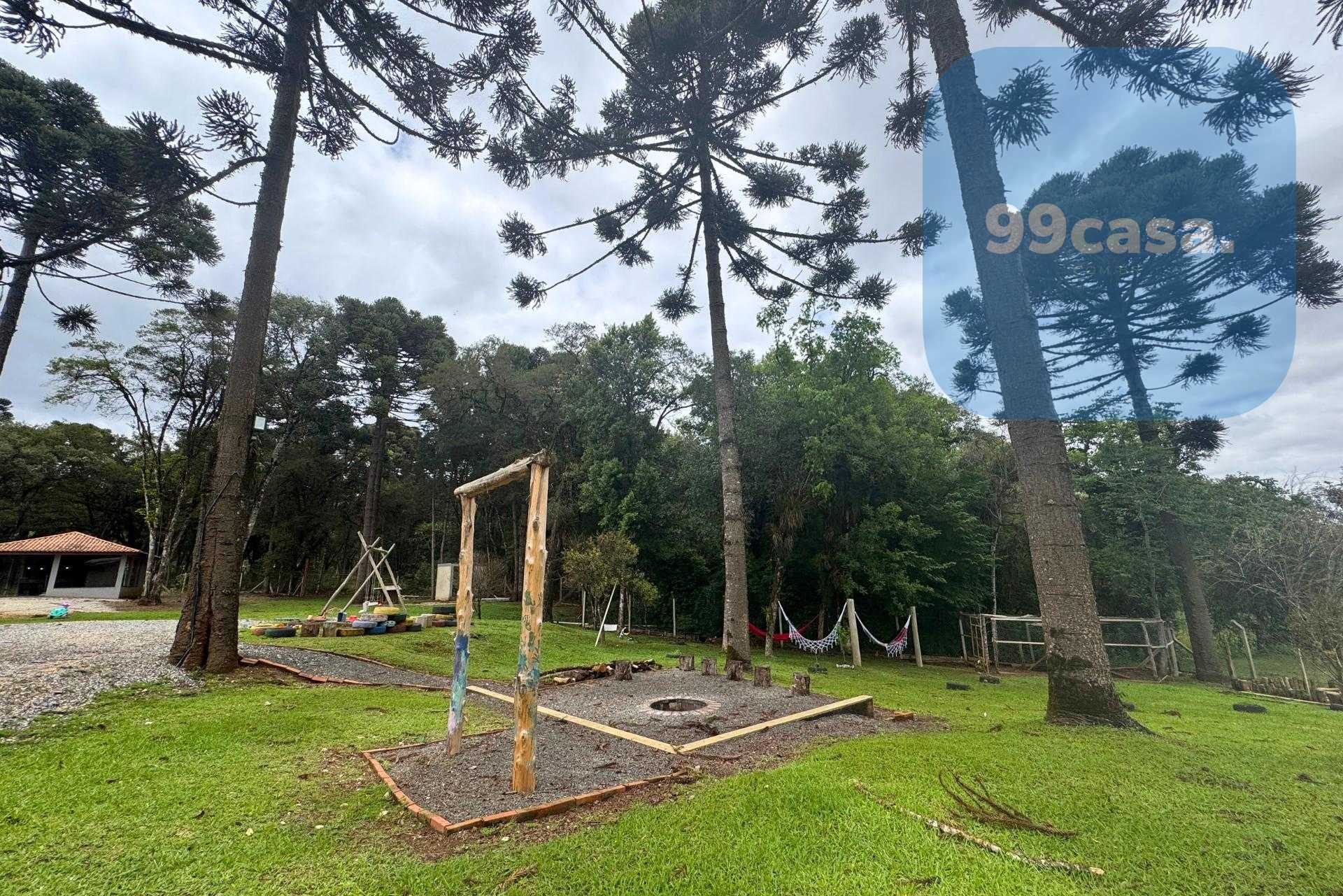 Chácara formada e com benfeitorias à venda em CAMPO MAGRO - PR...