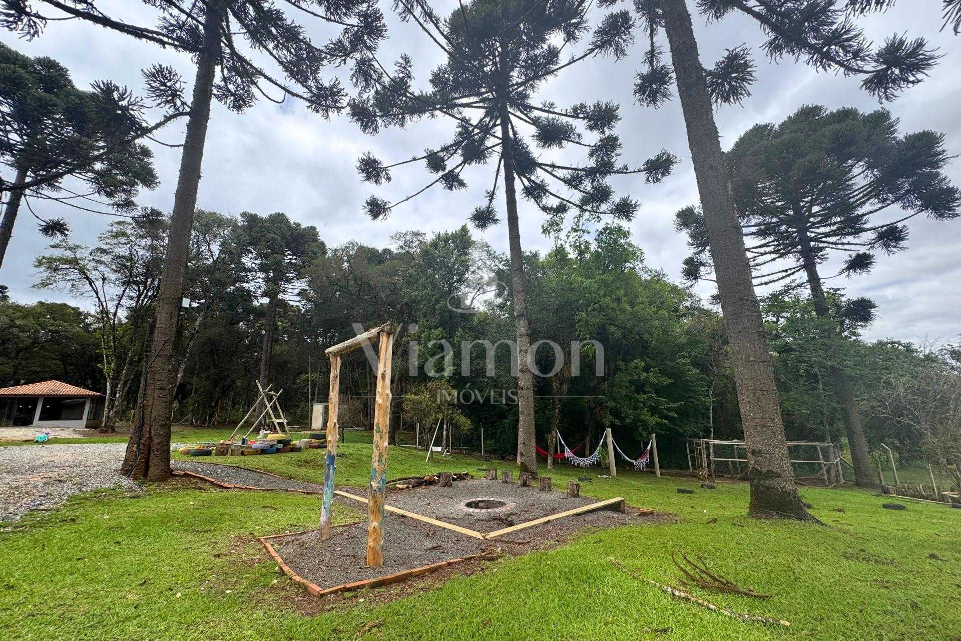 Chácara formada e com benfeitorias à venda em CAMPO MAGRO - PR...
