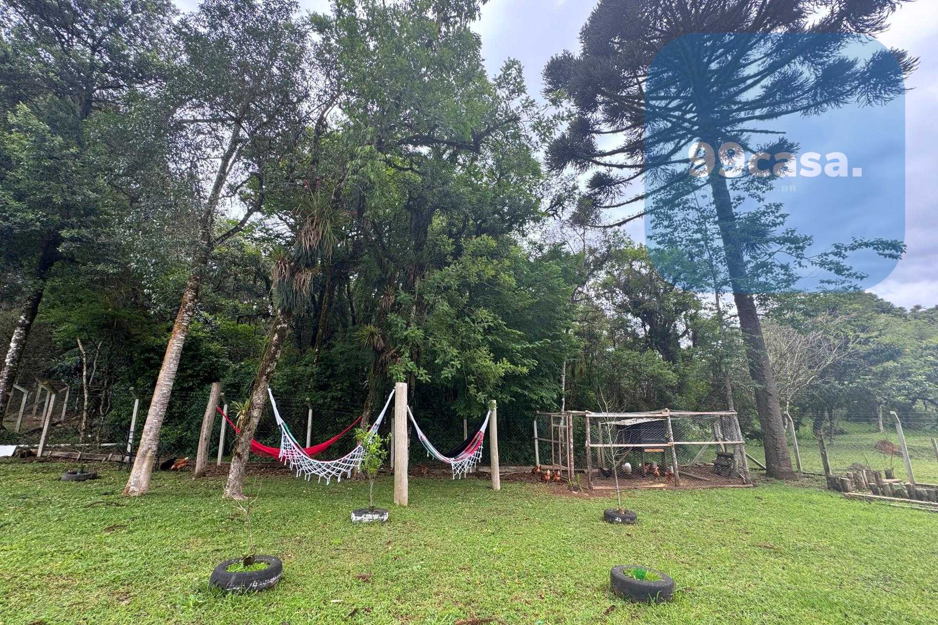 Chácara formada e com benfeitorias à venda em CAMPO MAGRO - PR...