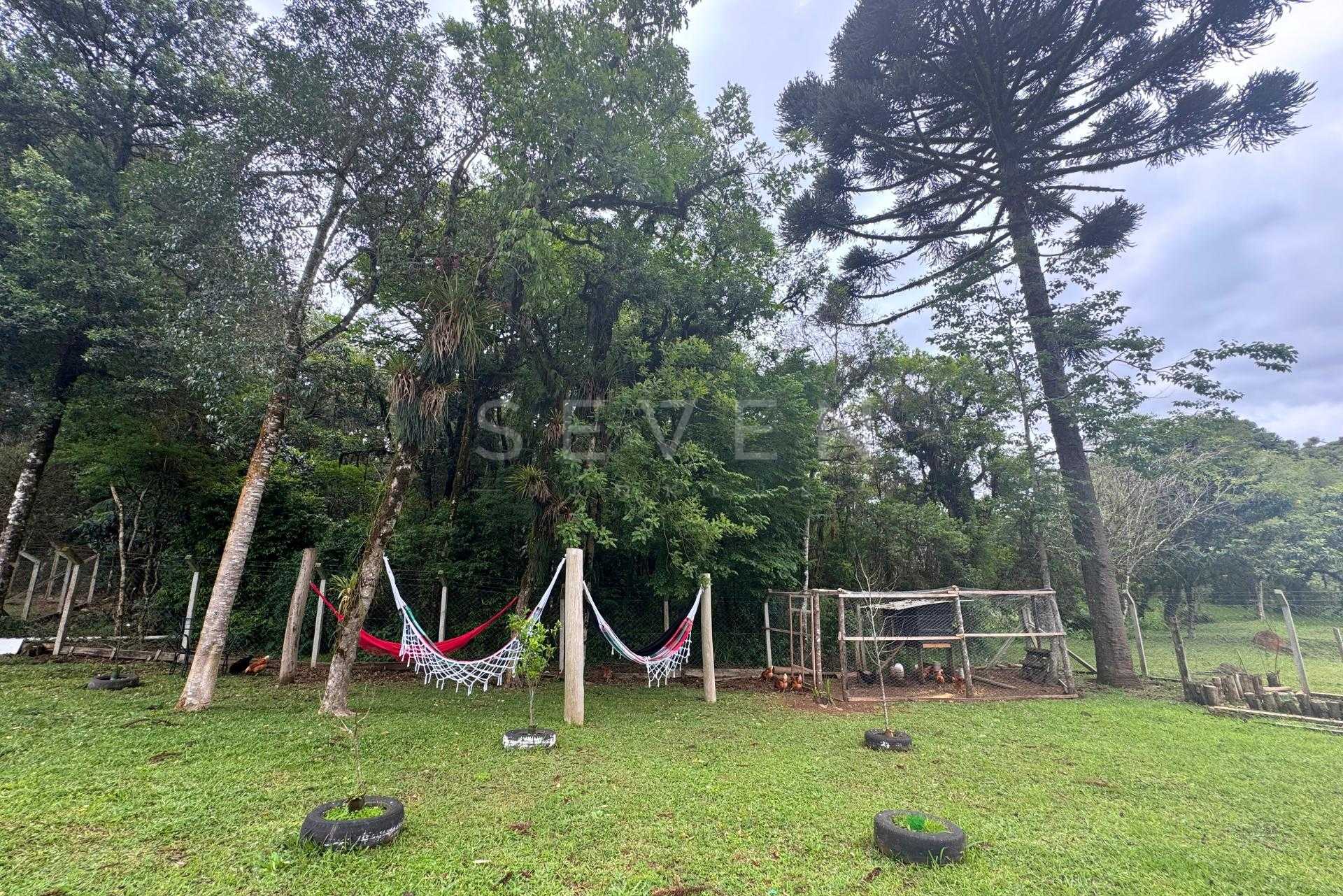 Chácara formada e com benfeitorias à venda em CAMPO MAGRO - PR...
