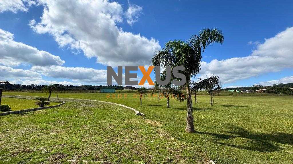 Chácara para venda em São Luiz do Purunã com 20.000m² de terreno