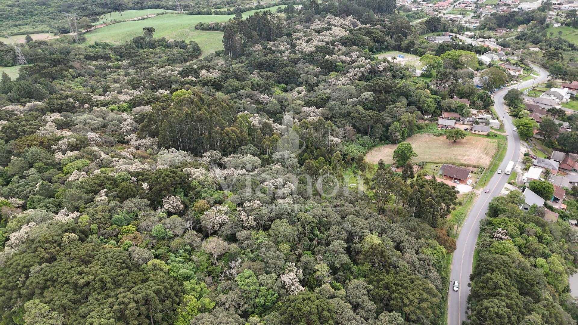 Terreno de 15.000 m² à venda na Rua Mato Grosso, em Campo Largo