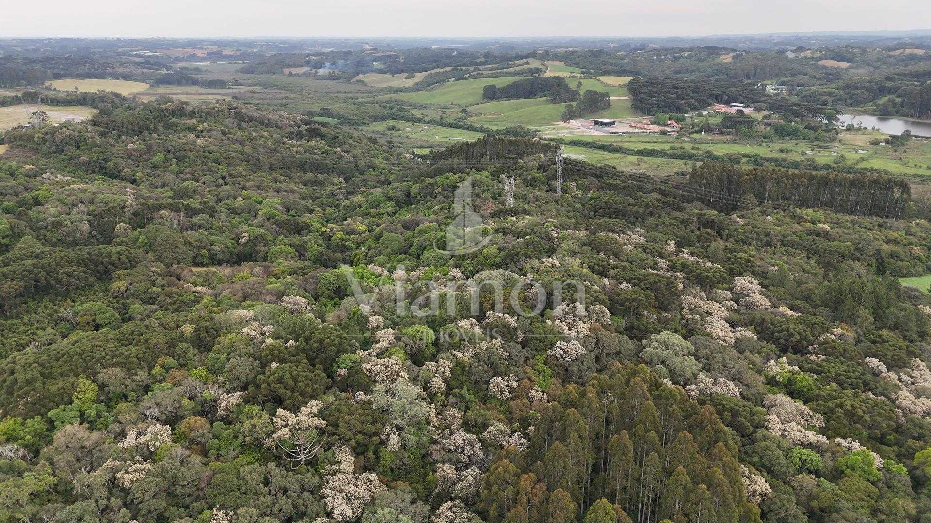 Terreno de 15.000 m² à venda na Rua Mato Grosso, em Campo Largo